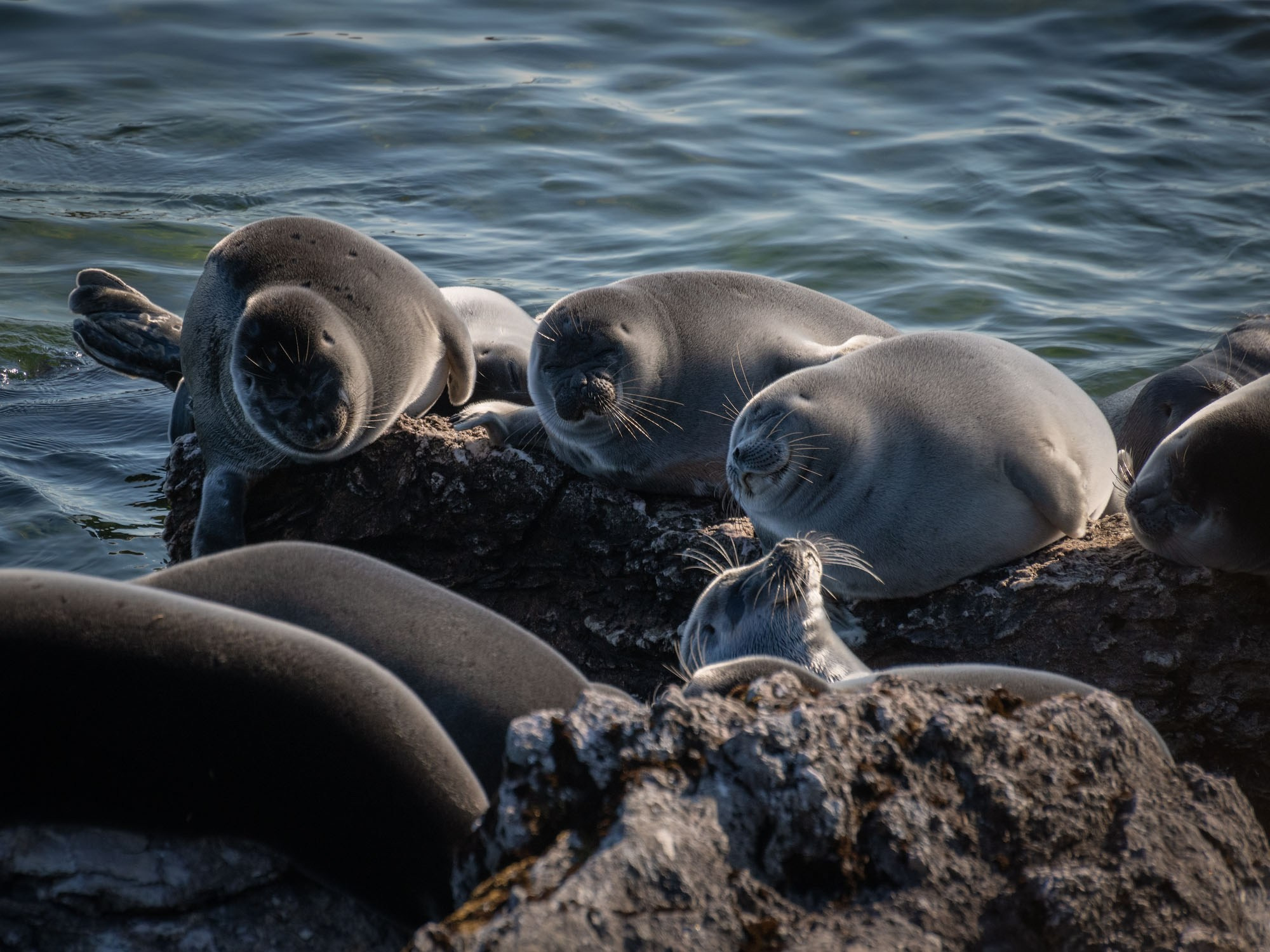 Фотографии Байкала
