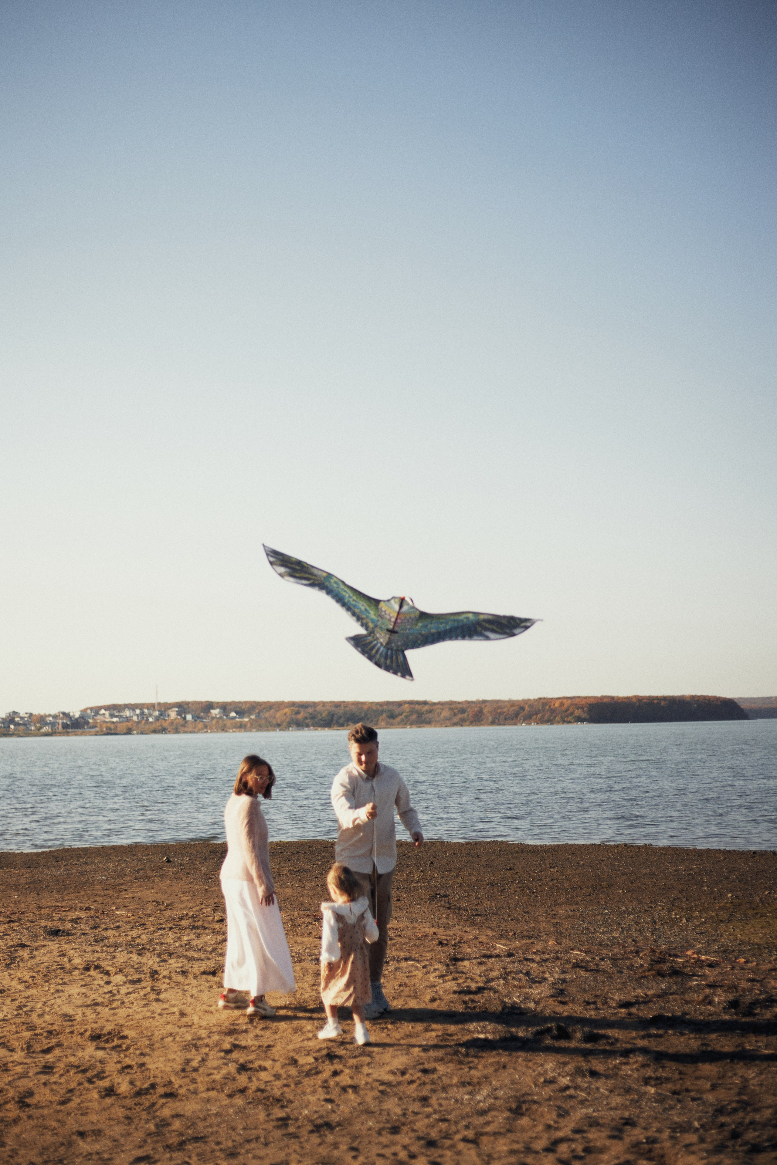 Летели высоко, летели далеко. Фотограф Ионова Анастасия, г Владивосток