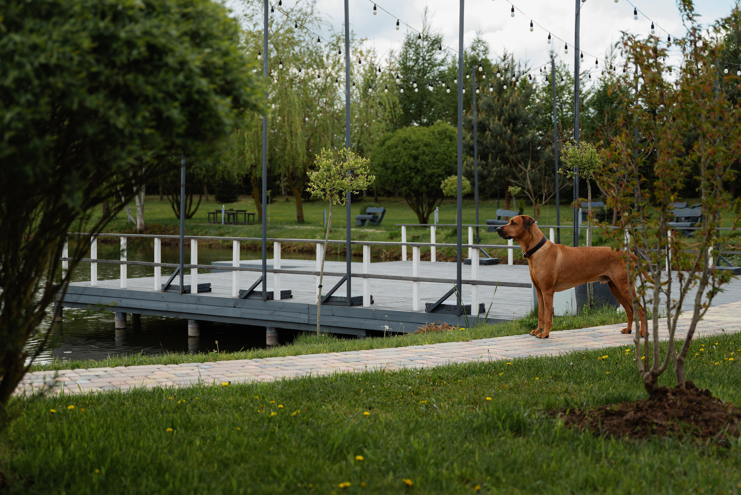 A&A. Репортажный и свадебный фотограф в Минске Шамко Анатолий