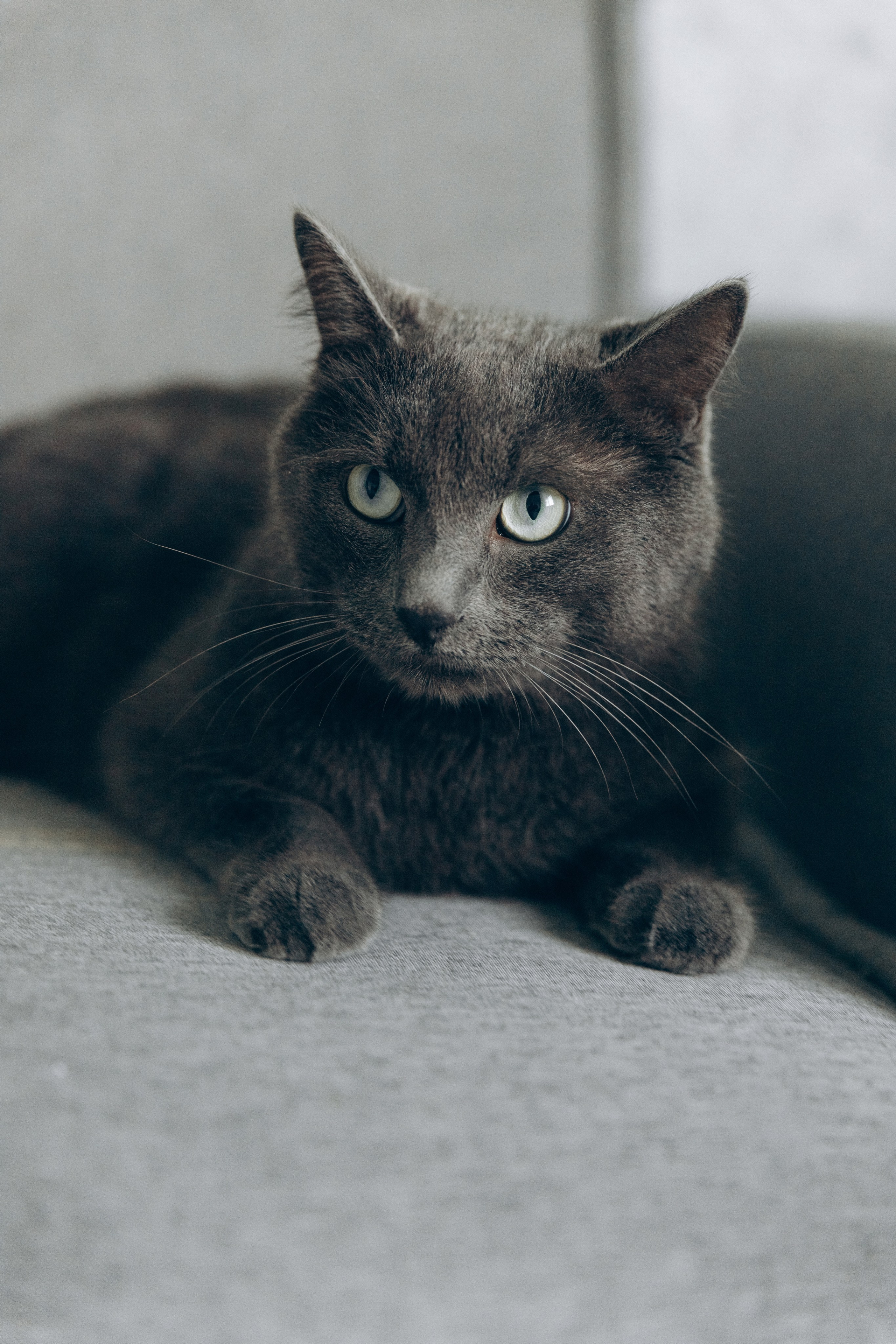 Семья Лены. Фотограф Ногинск Электросталь Наталья Осетрова