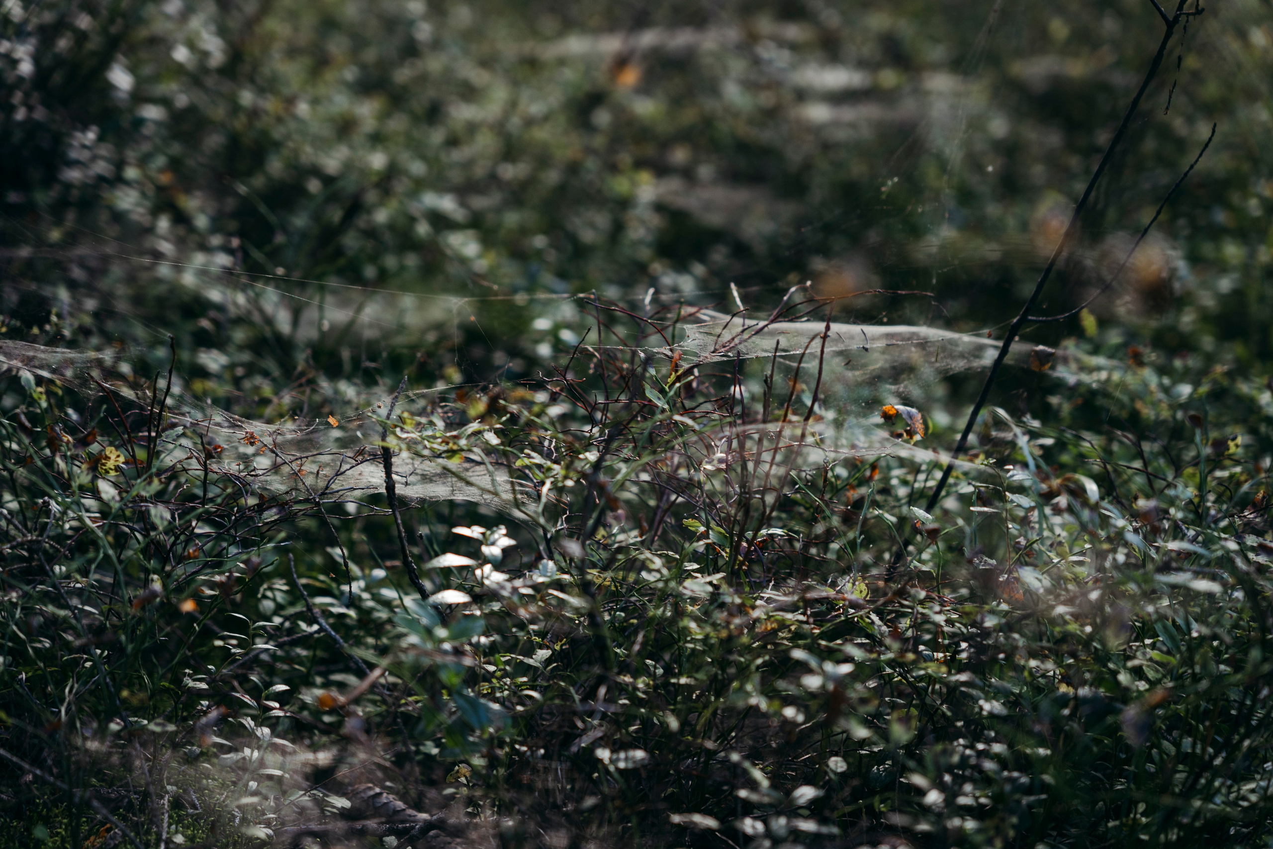 Молчановы. Многолетний проект о молодой семье. Фотограф в Москве Савкина Евгения