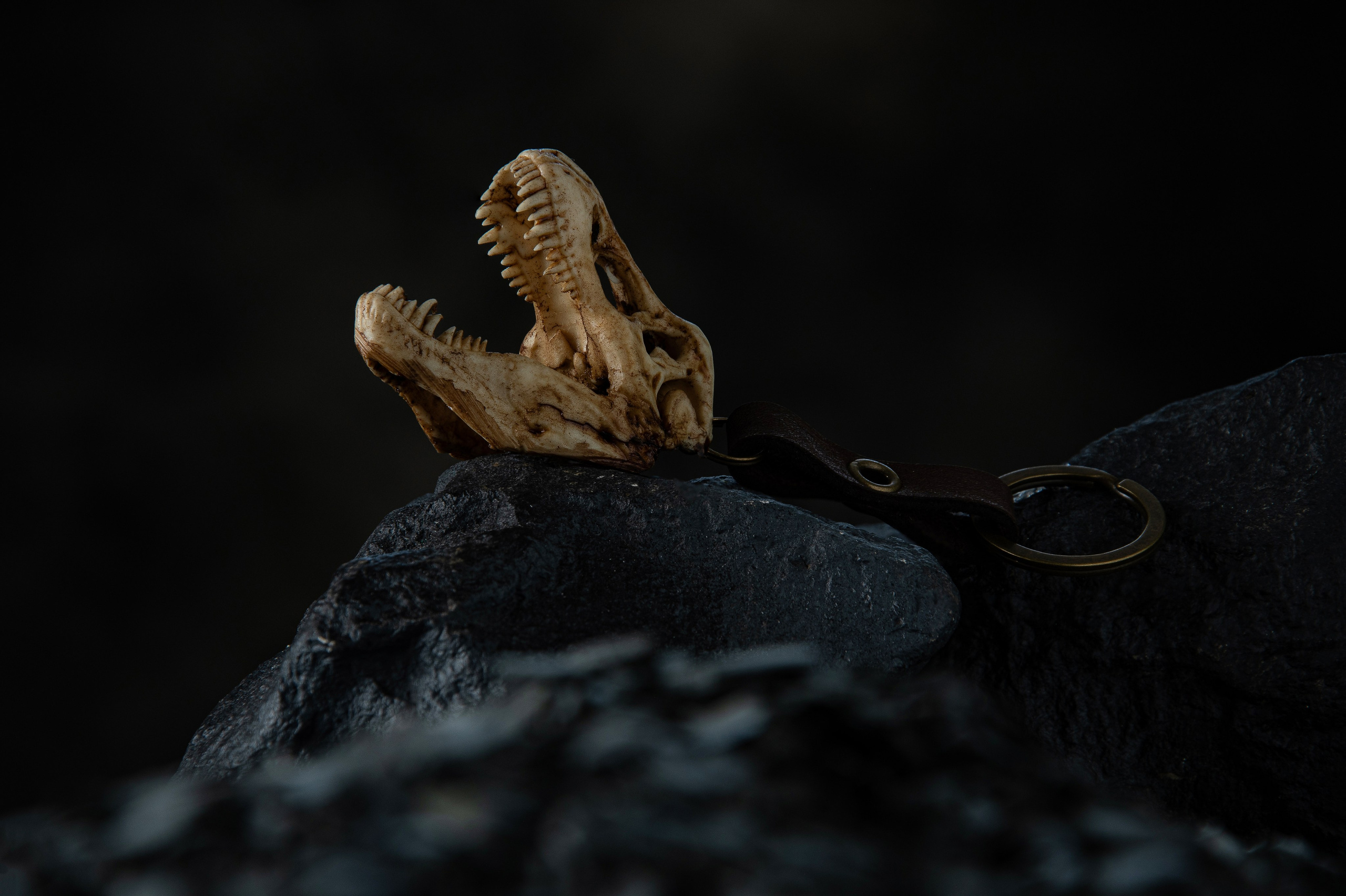 Фото и видео контент. Создание фото и видео контента. Предметная съемка. Предметный фотосъемка. Продакшн фото. Видео продакшн. Предметная фотосъемка в Москве. Предметный фотограф — Вячеслав Иванов