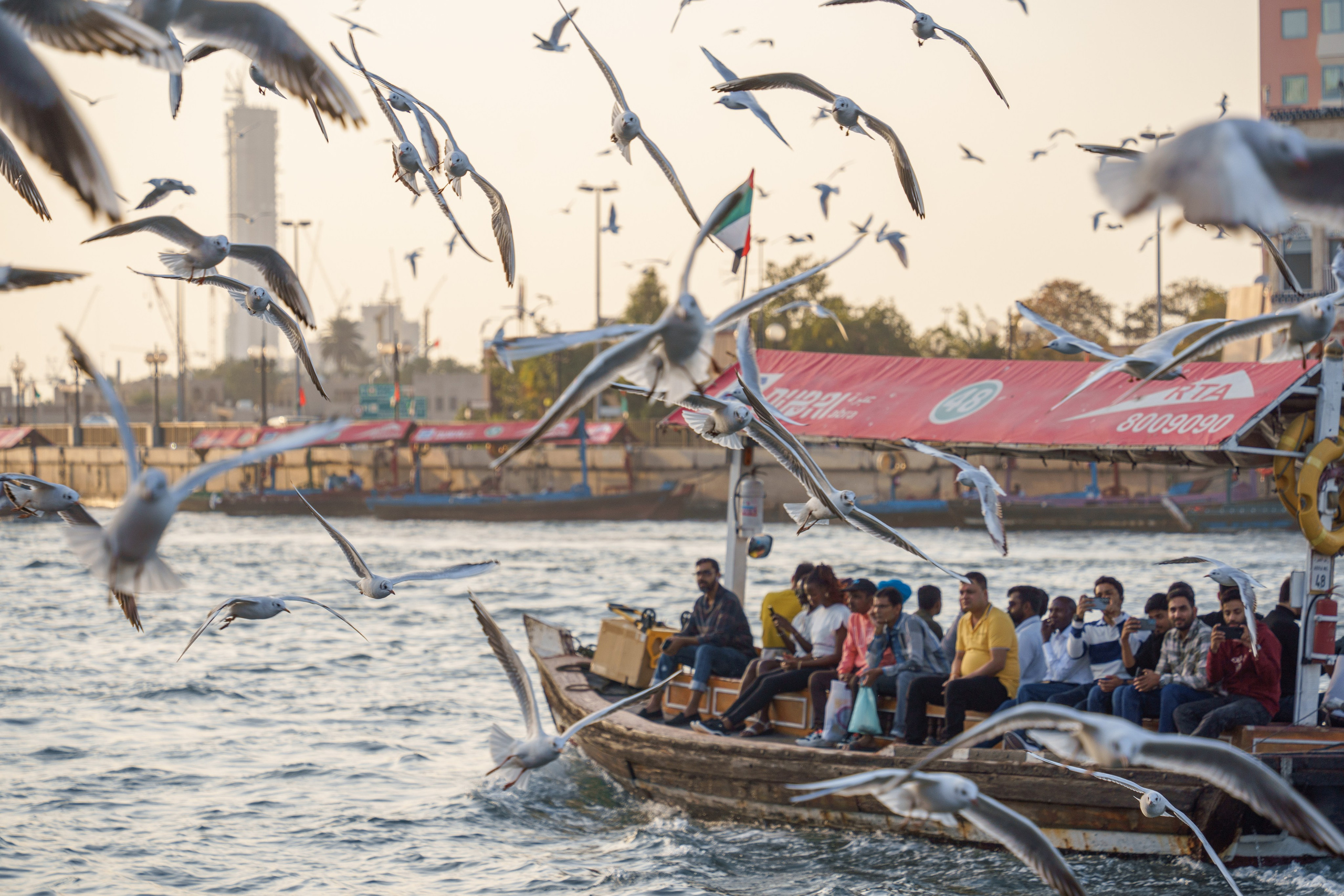 Персидский залив. Photographer Natalia Baranova