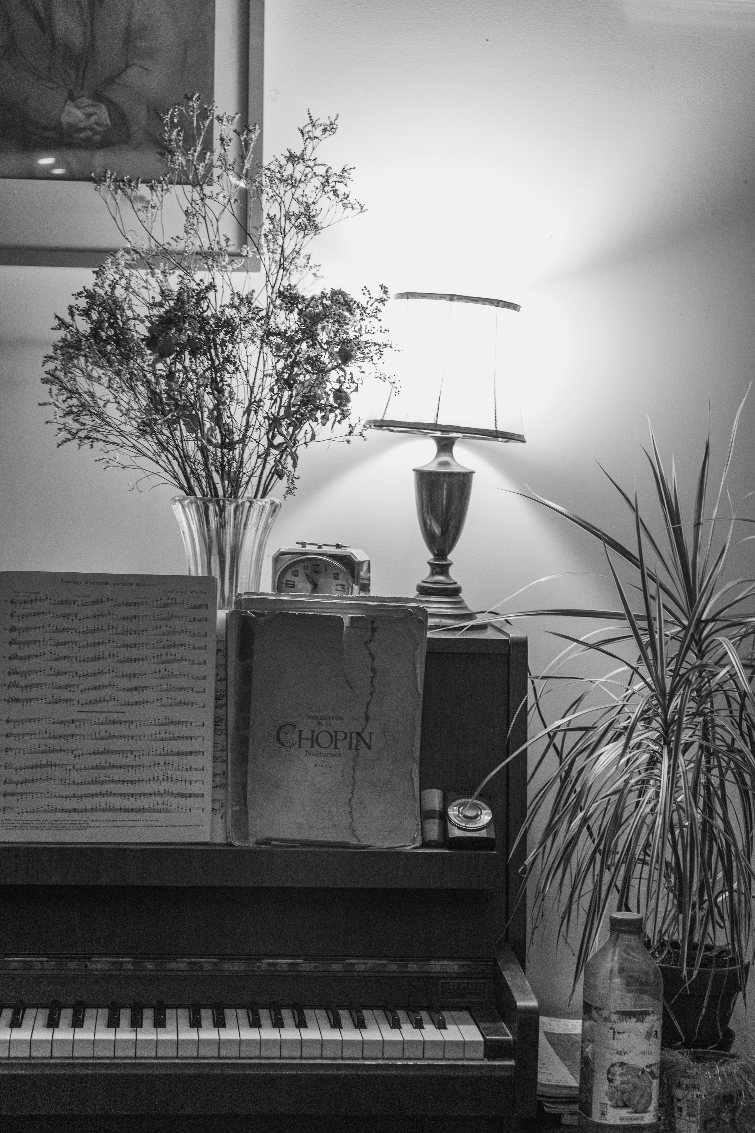 France, Paris. Воройская Анна