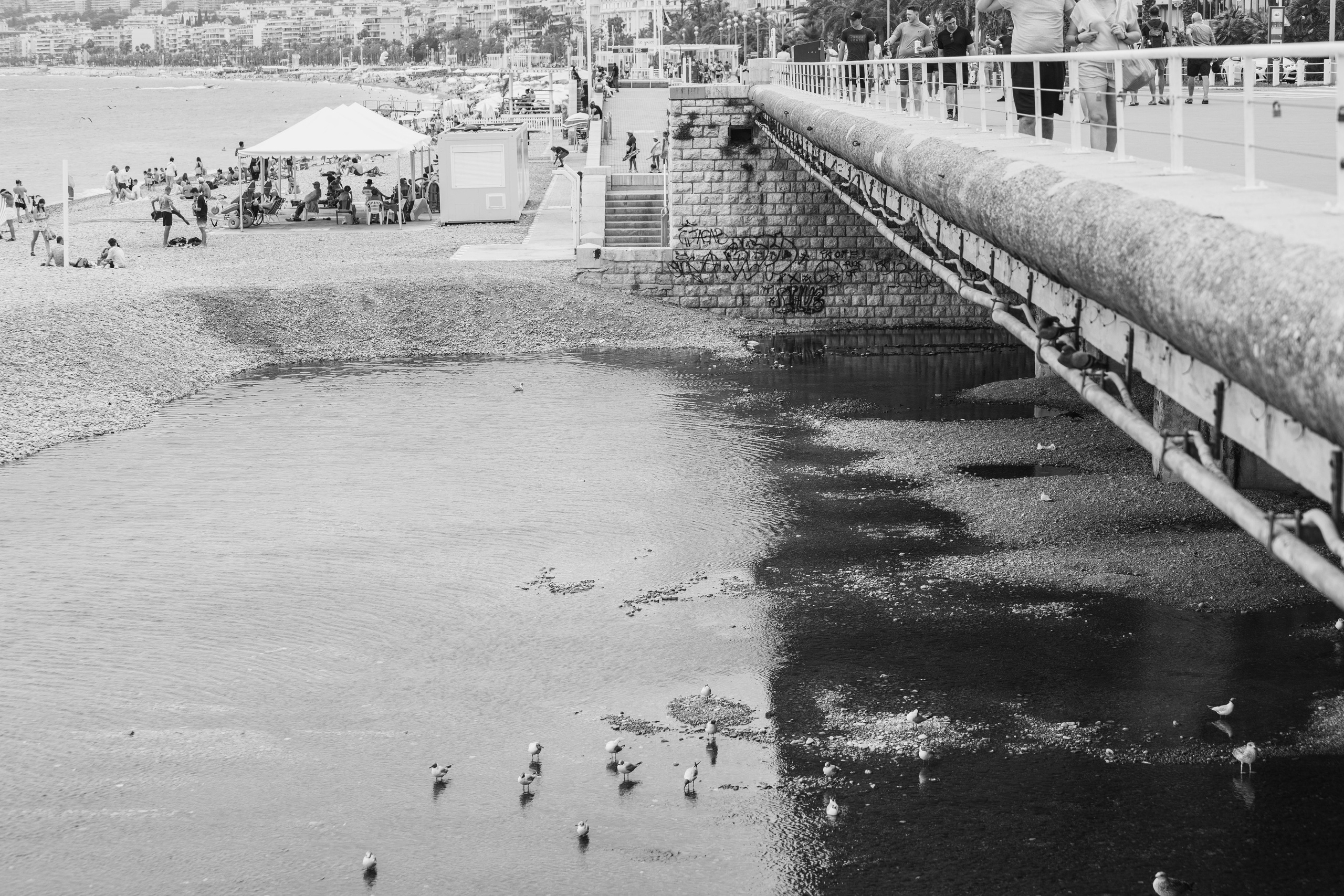 France, Paris. Воройская Анна