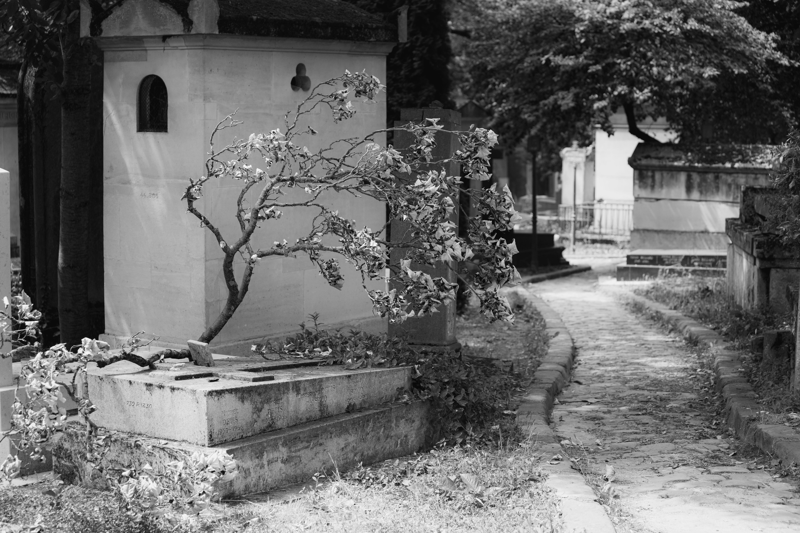 France, Paris. Воройская Анна