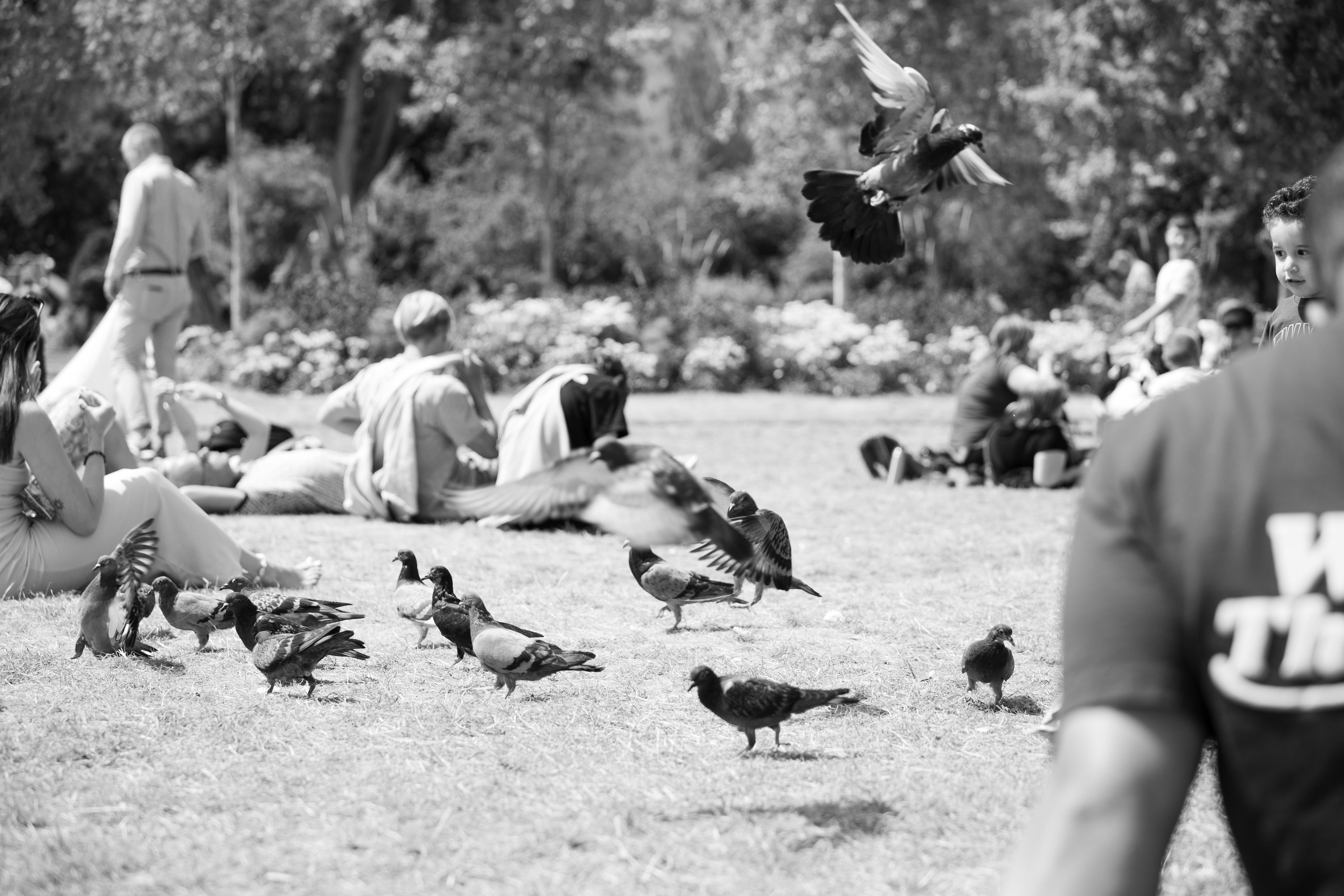 France, Paris. Воройская Анна