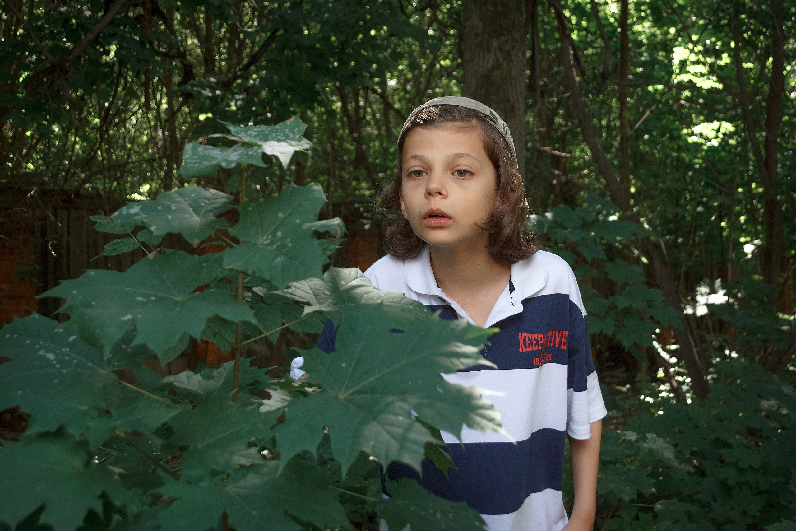 Сказка — Быль. Аmat Victoria Сuram