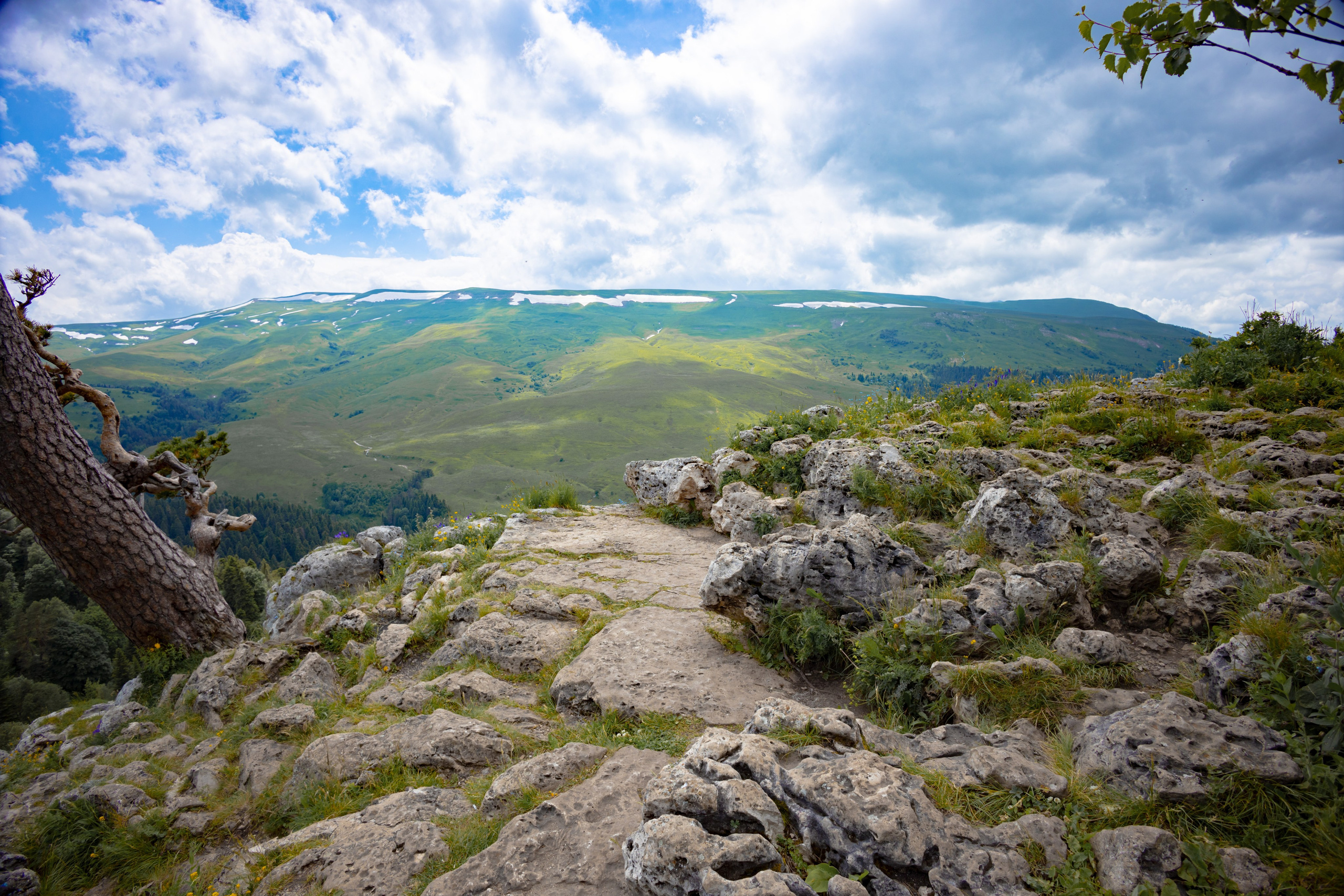 Осень. Профессиональный фотограф и видеооператор