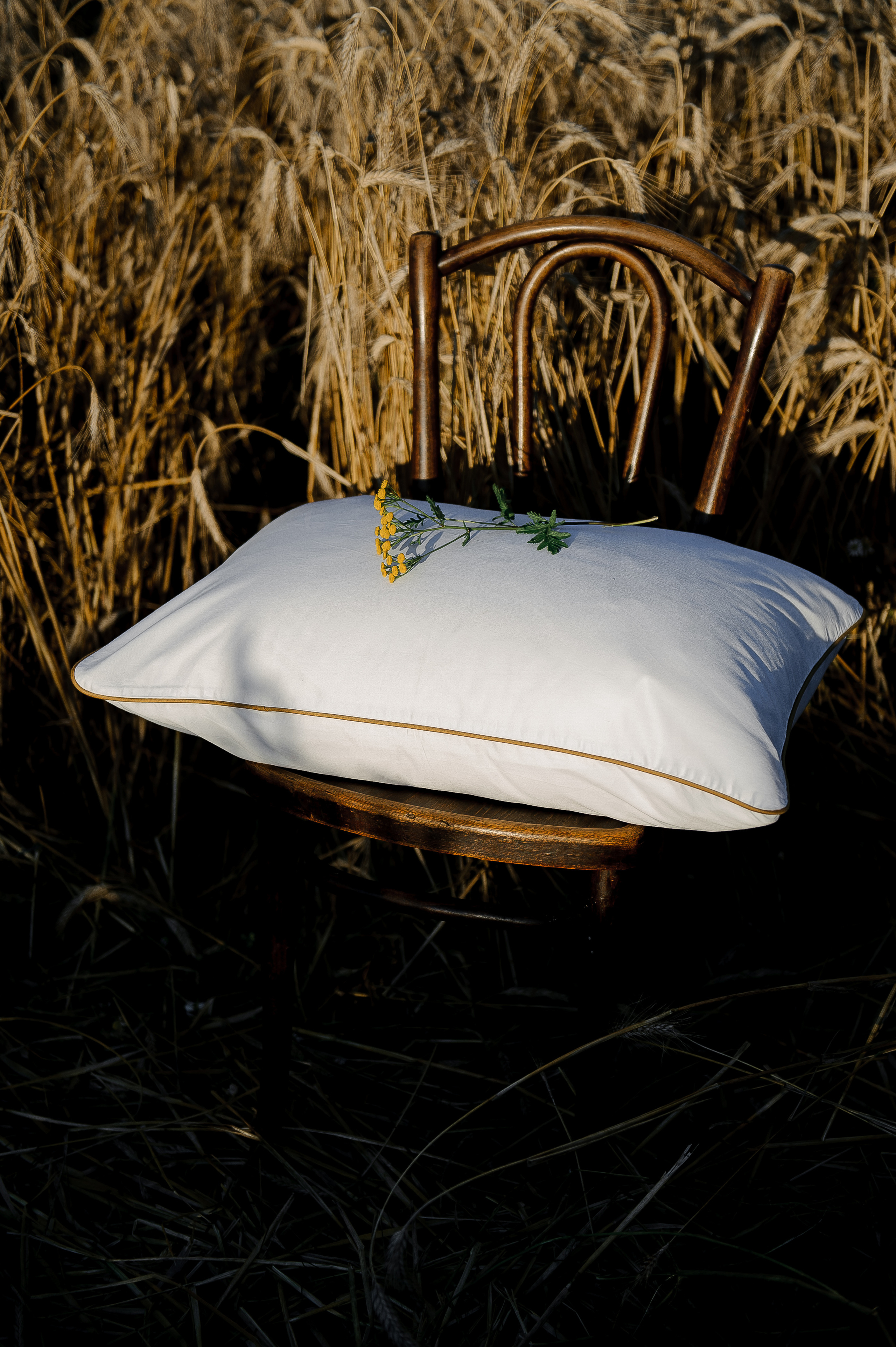 Имиджевая подушки. Ozon/wb