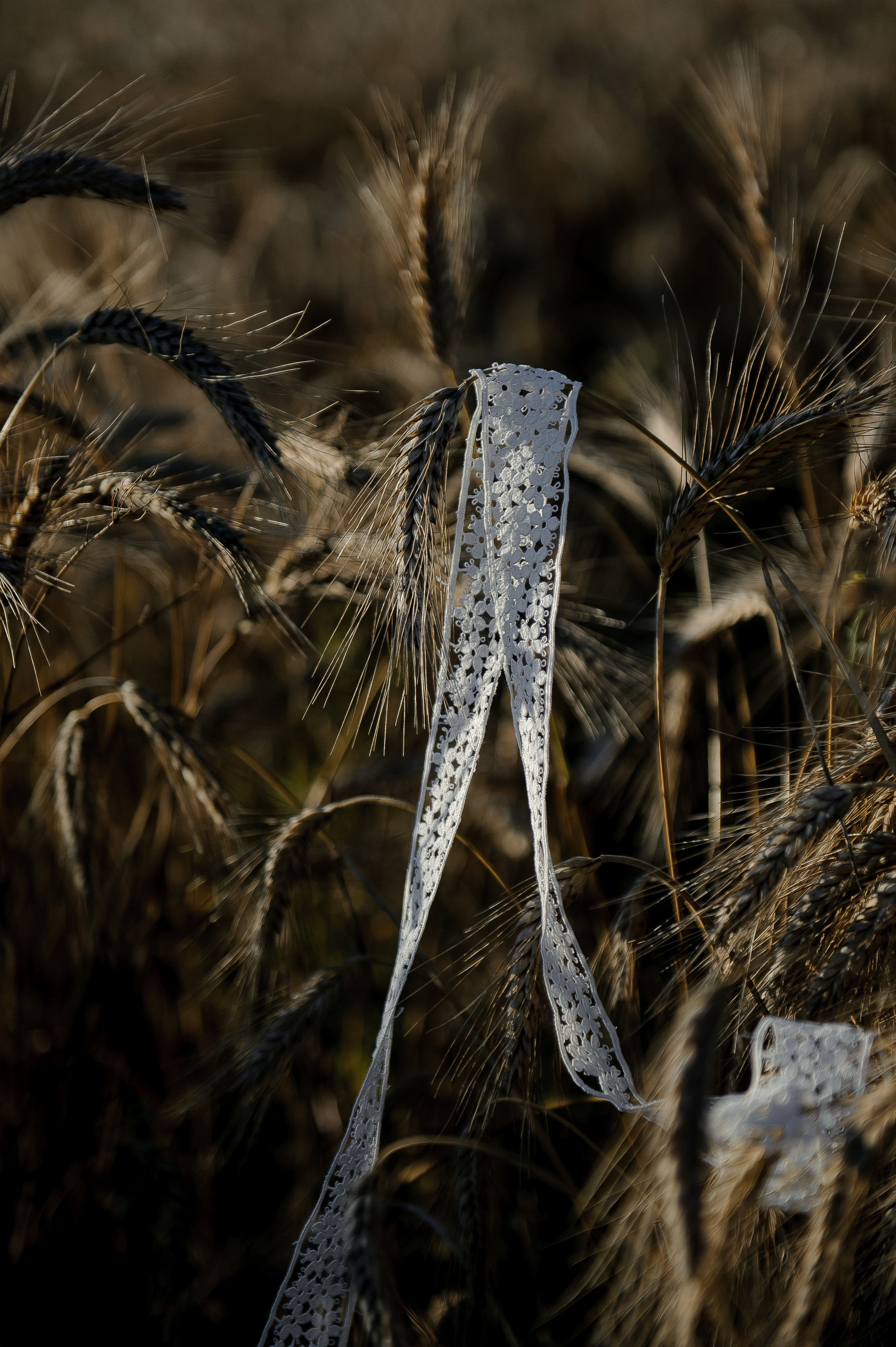 Имиджевая подушки. Ozon/wb