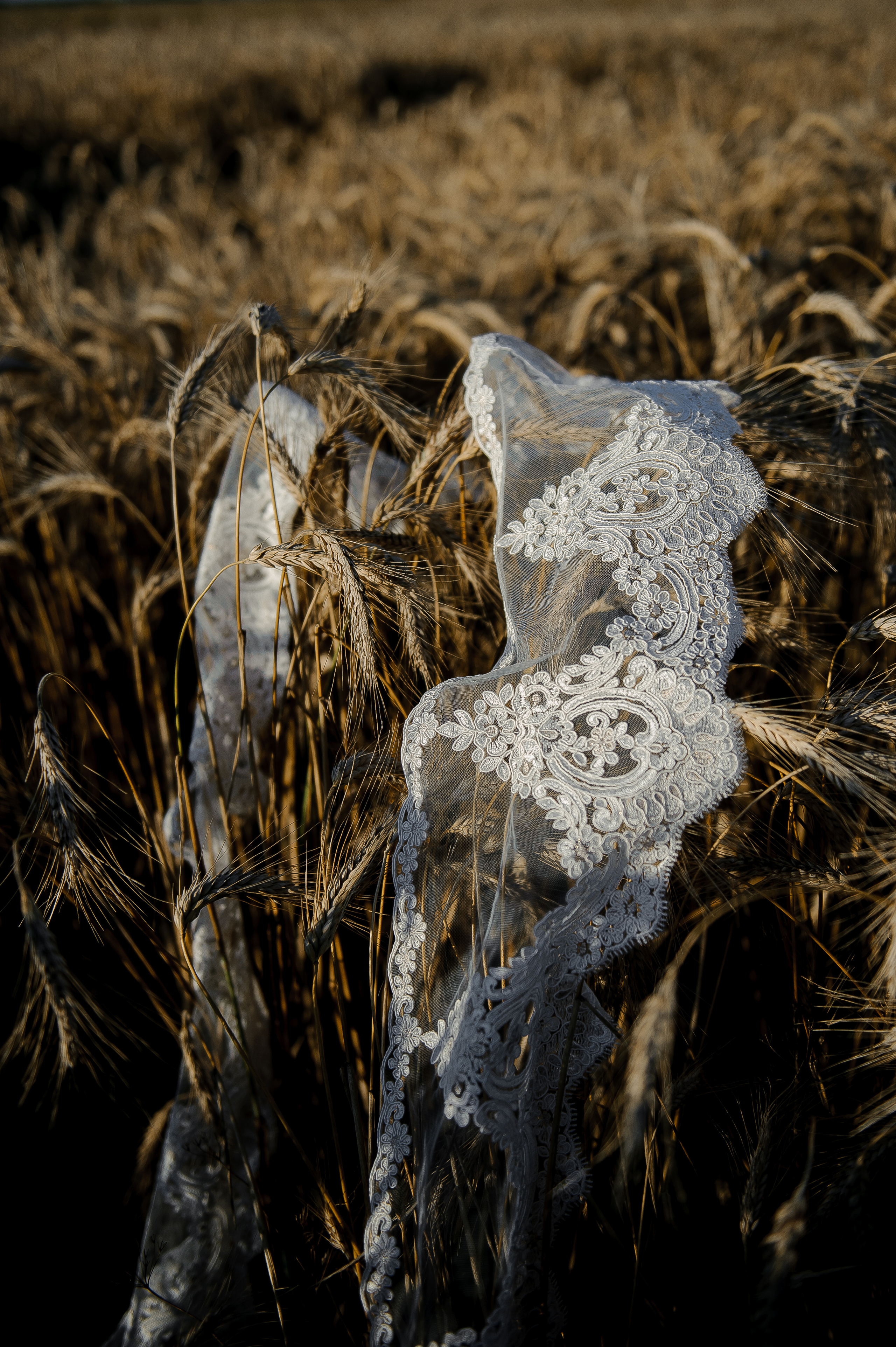 Имиджевая подушки. Ozon/wb