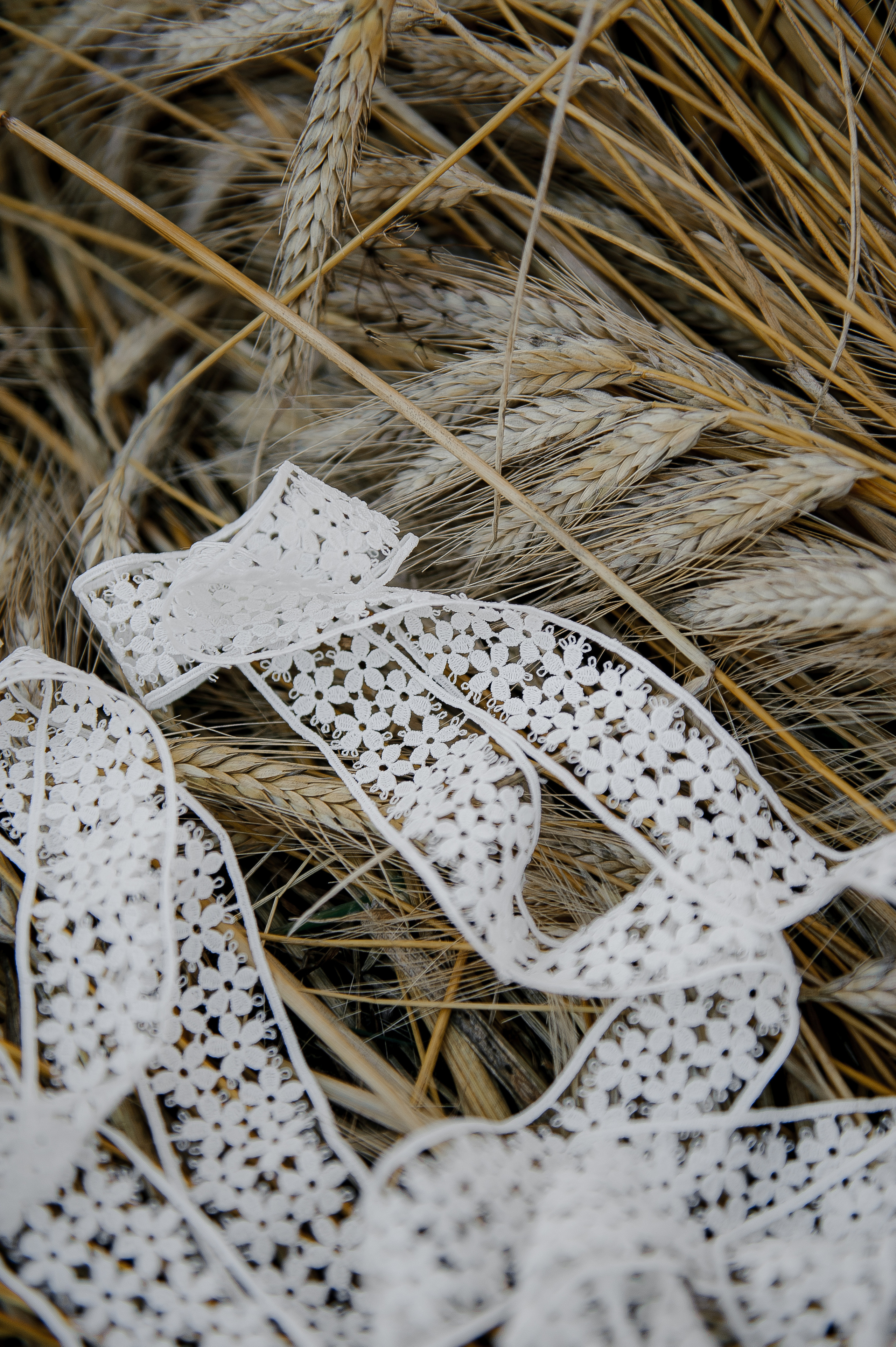 Имиджевая подушки. Ozon/wb