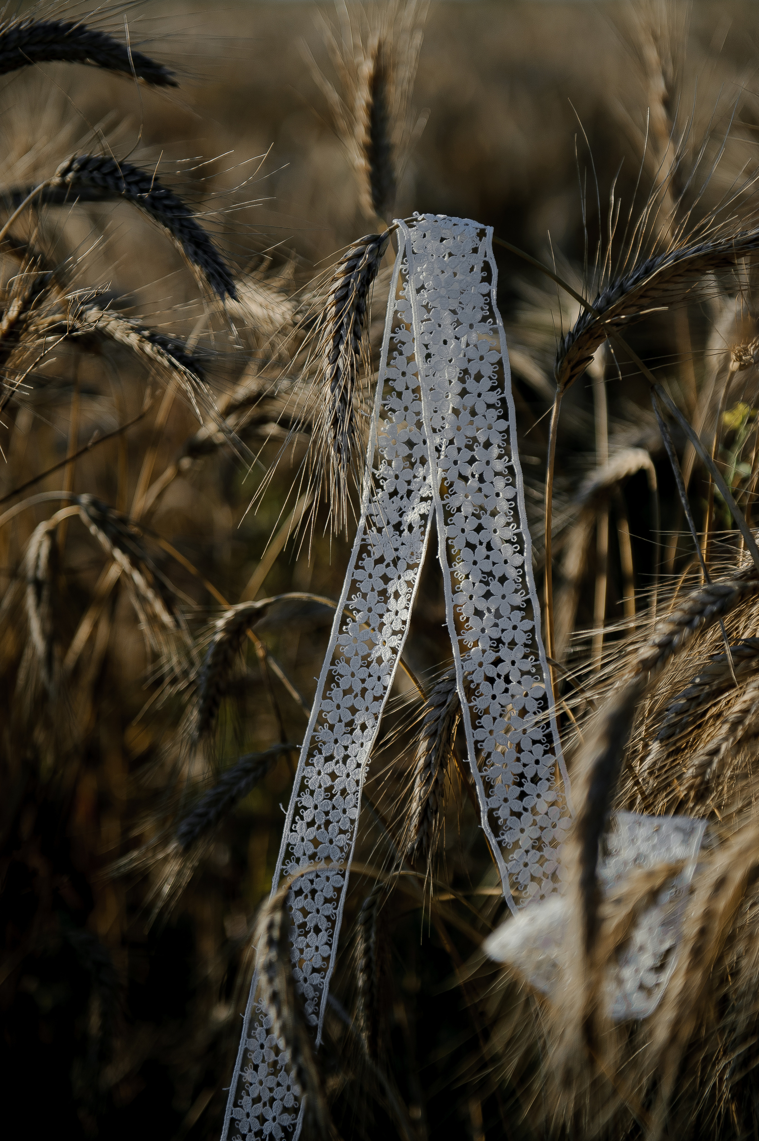 Имиджевая подушки. Ozon/wb