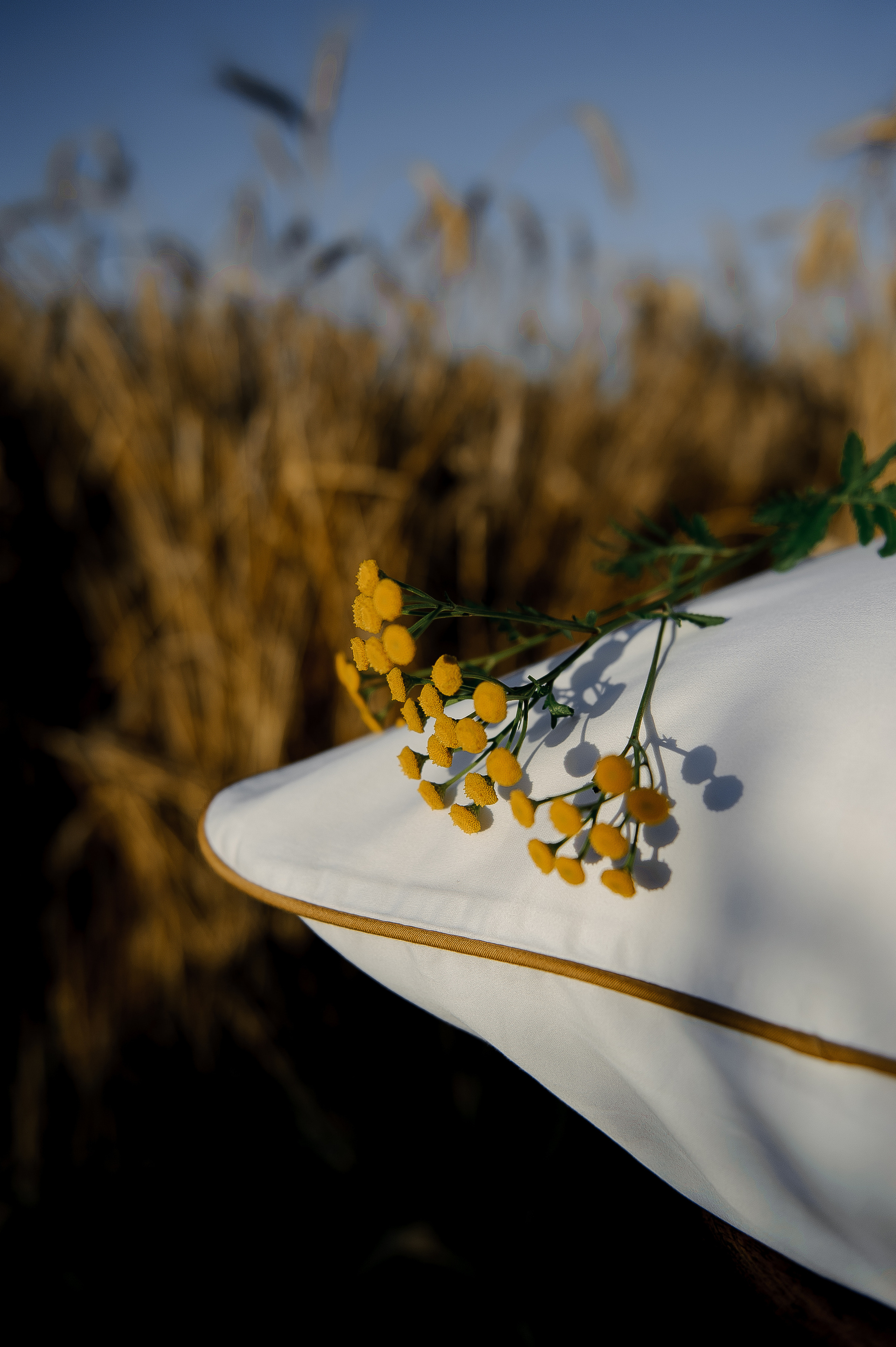 Имиджевая подушки. Ozon/wb