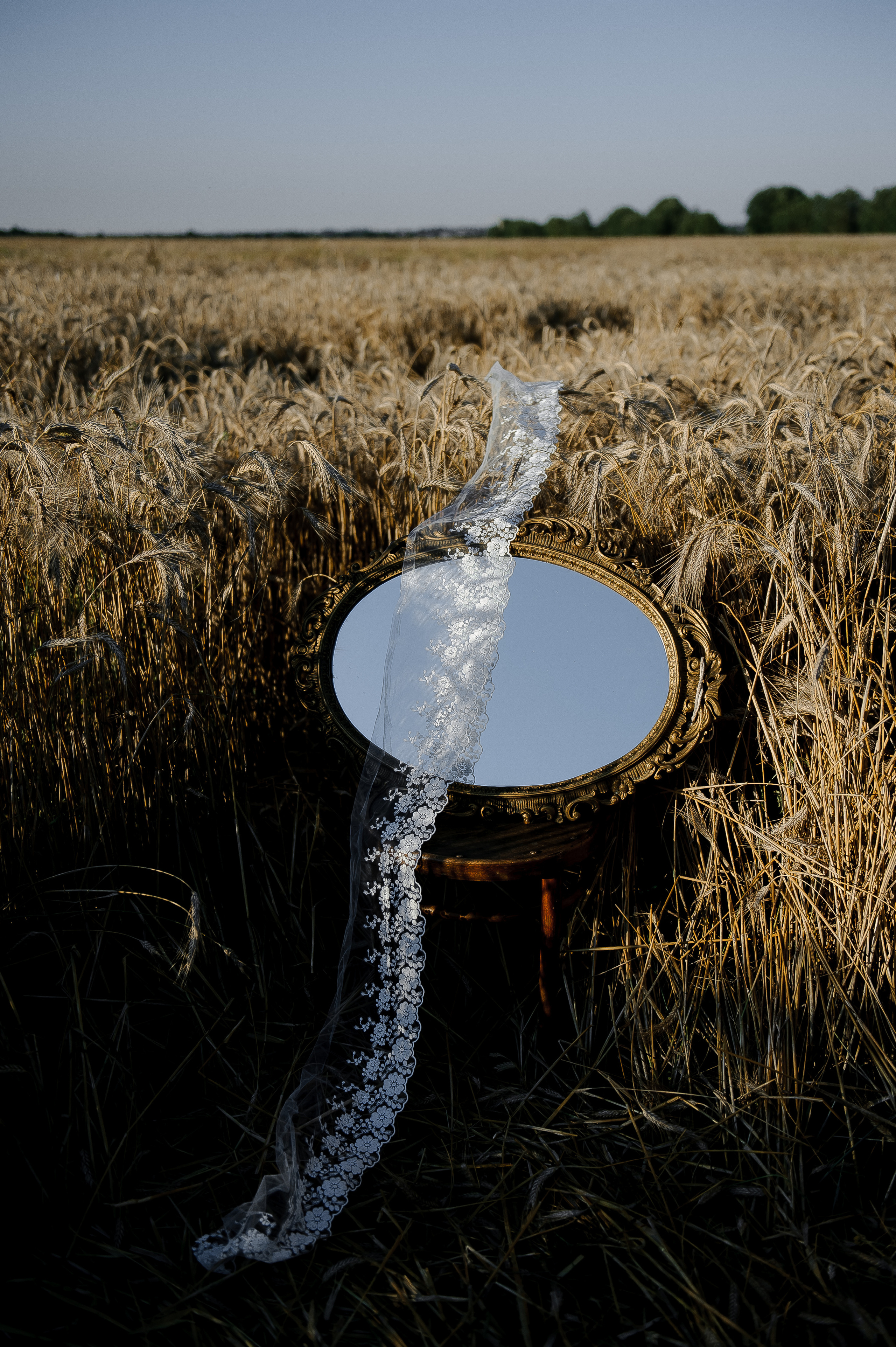 Имиджевая подушки. Ozon/wb