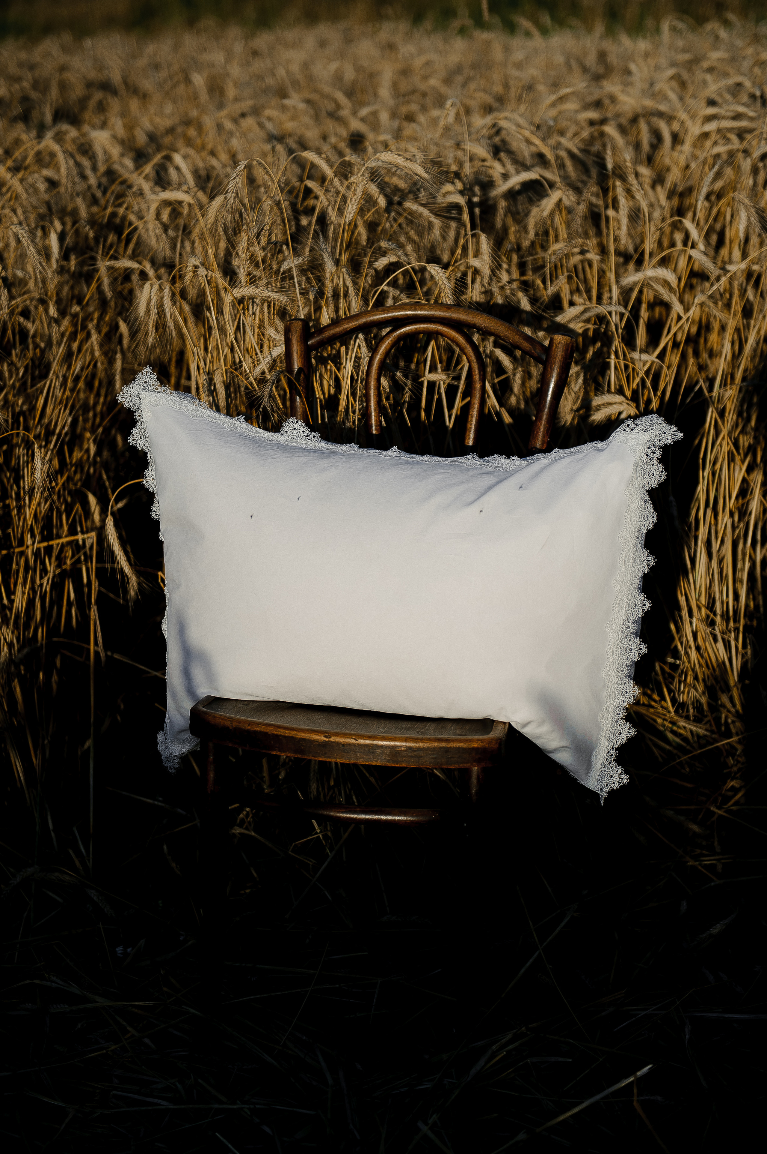 Имиджевая подушки. Ozon/wb