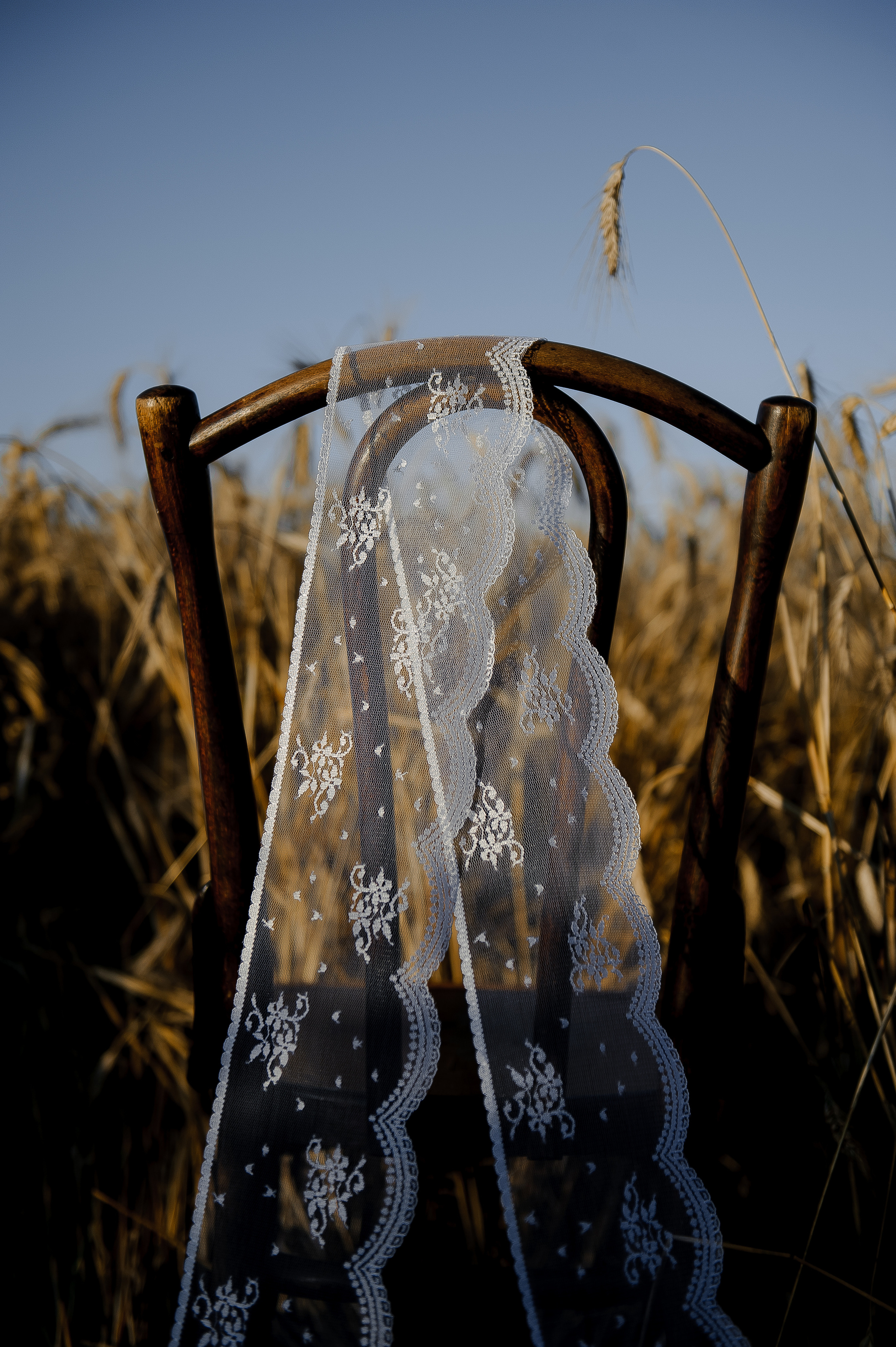 Имиджевая подушки. Ozon/wb