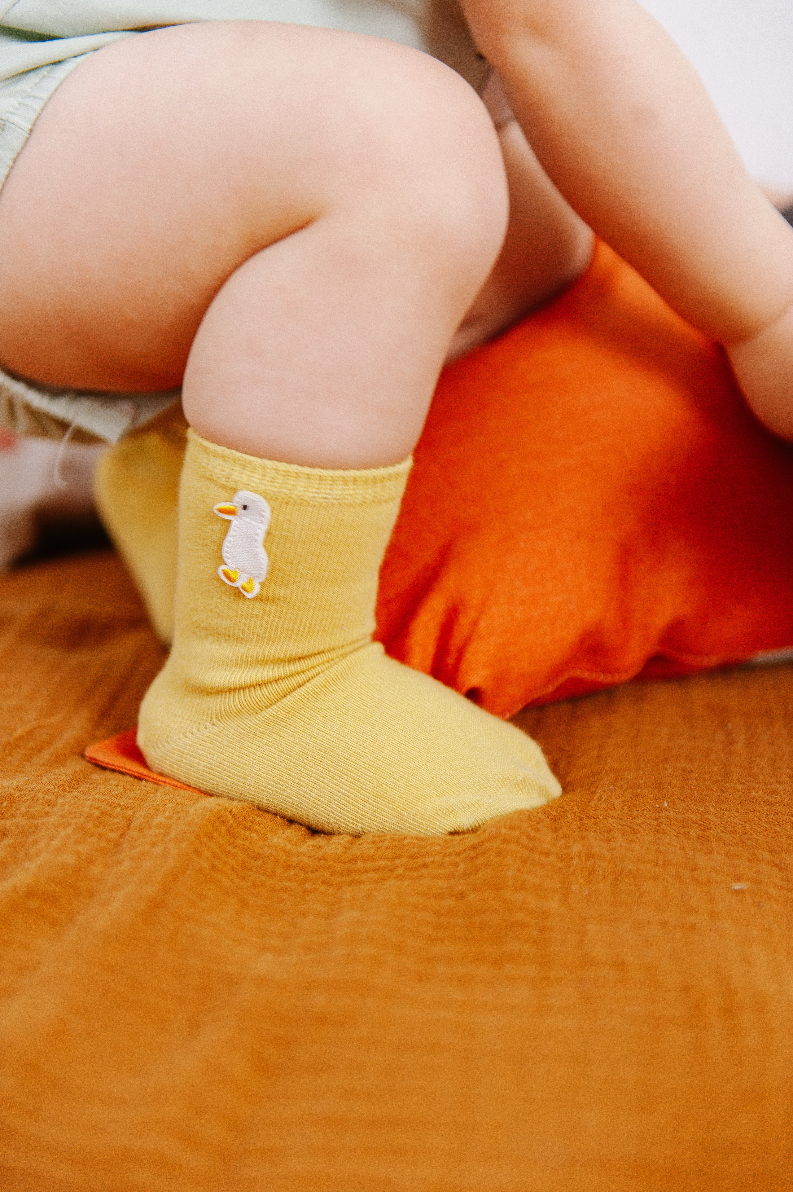 Детские пледы/пеленки/носочки. Ozon/wb