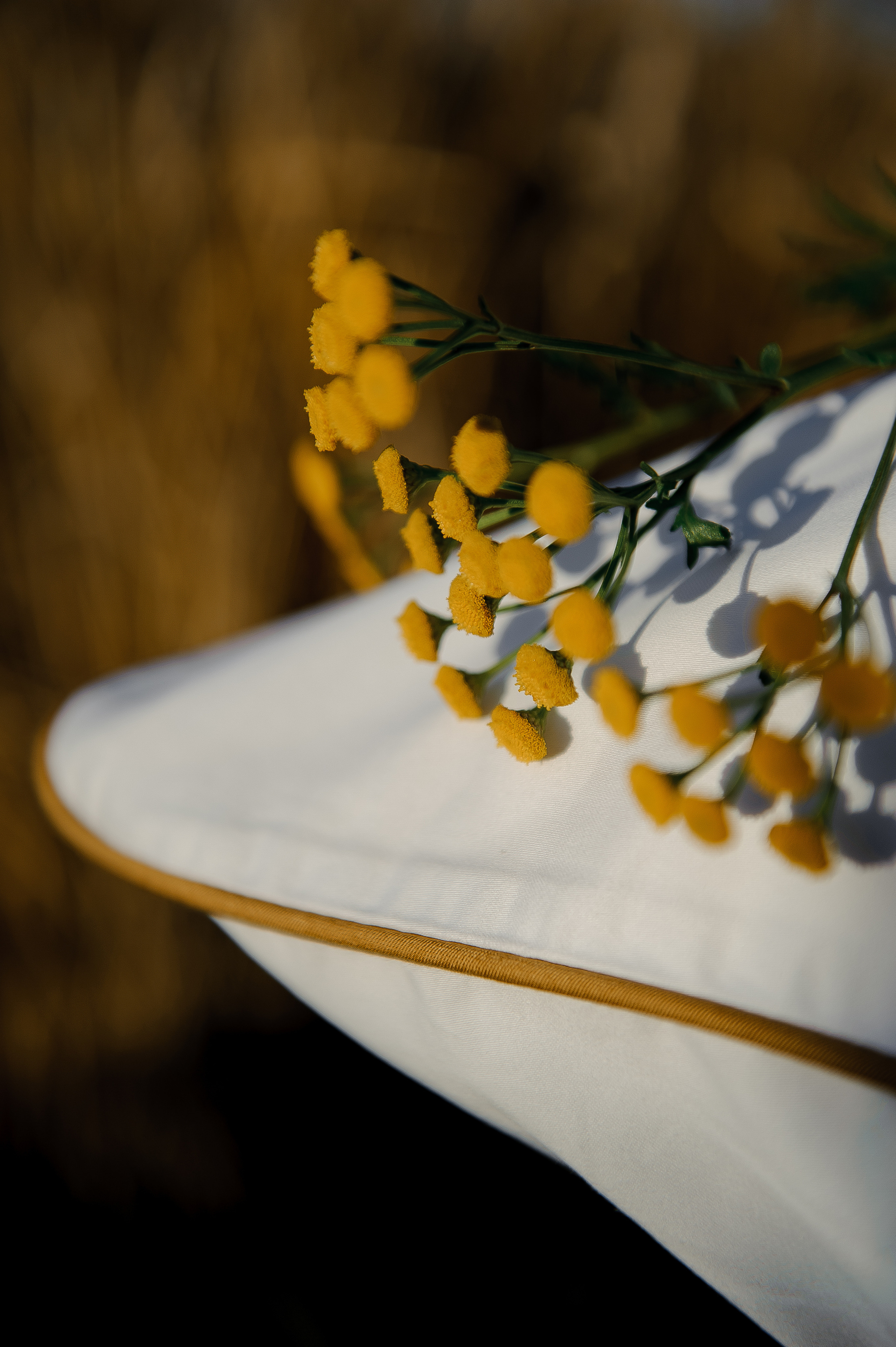 Имиджевая подушки. Ozon/wb