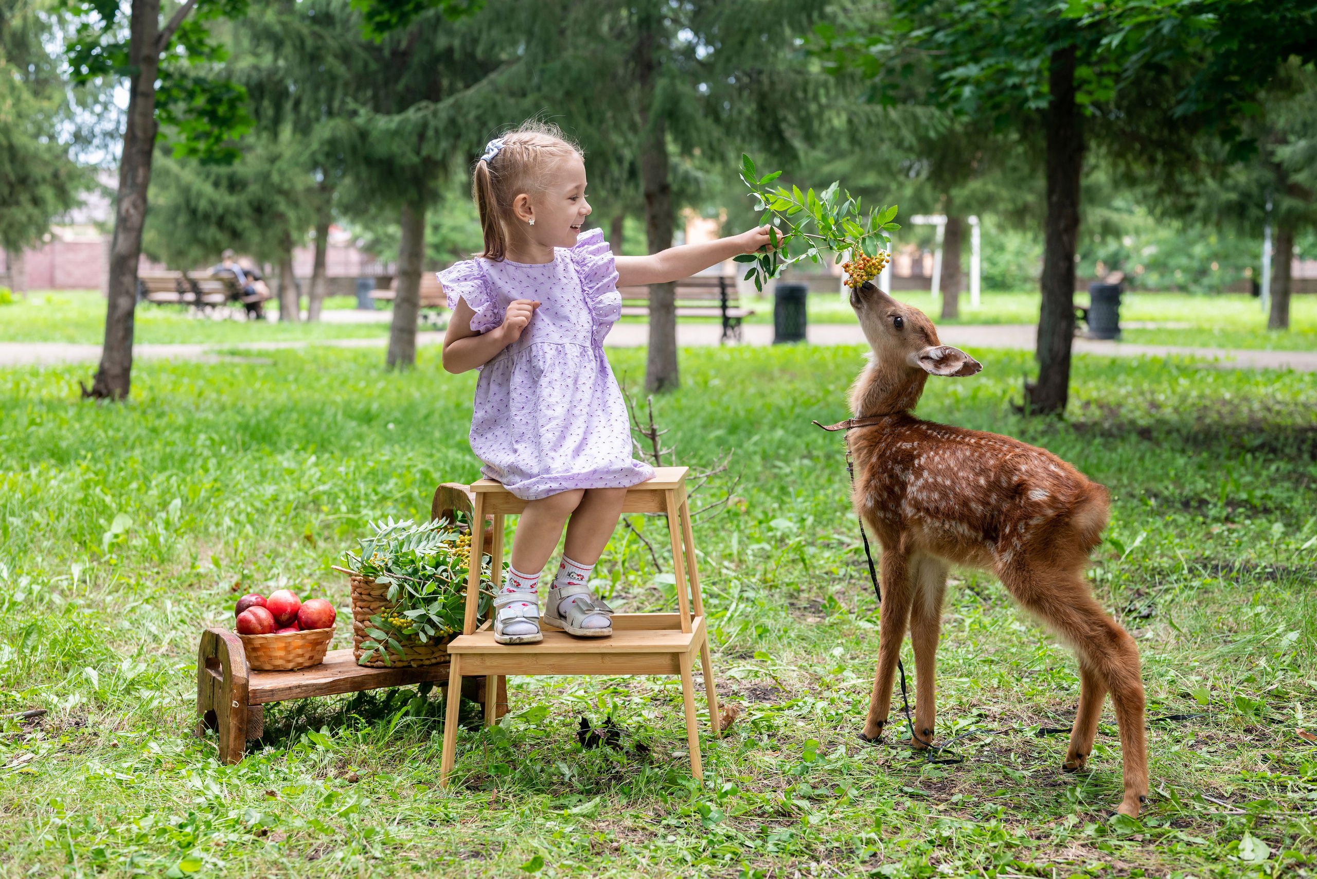Фотопроект *Оленёнок Бэмби*. Фотограф в городе Салават