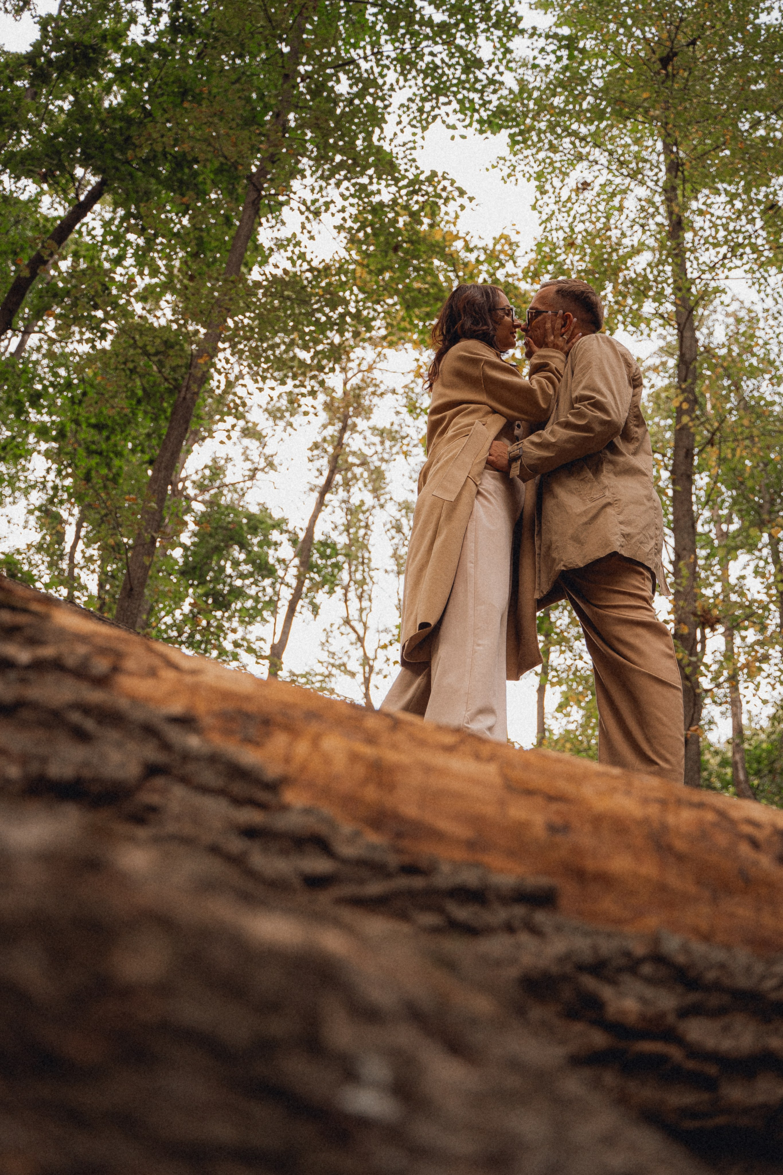 Лес. Фотограф Мария Зайчик