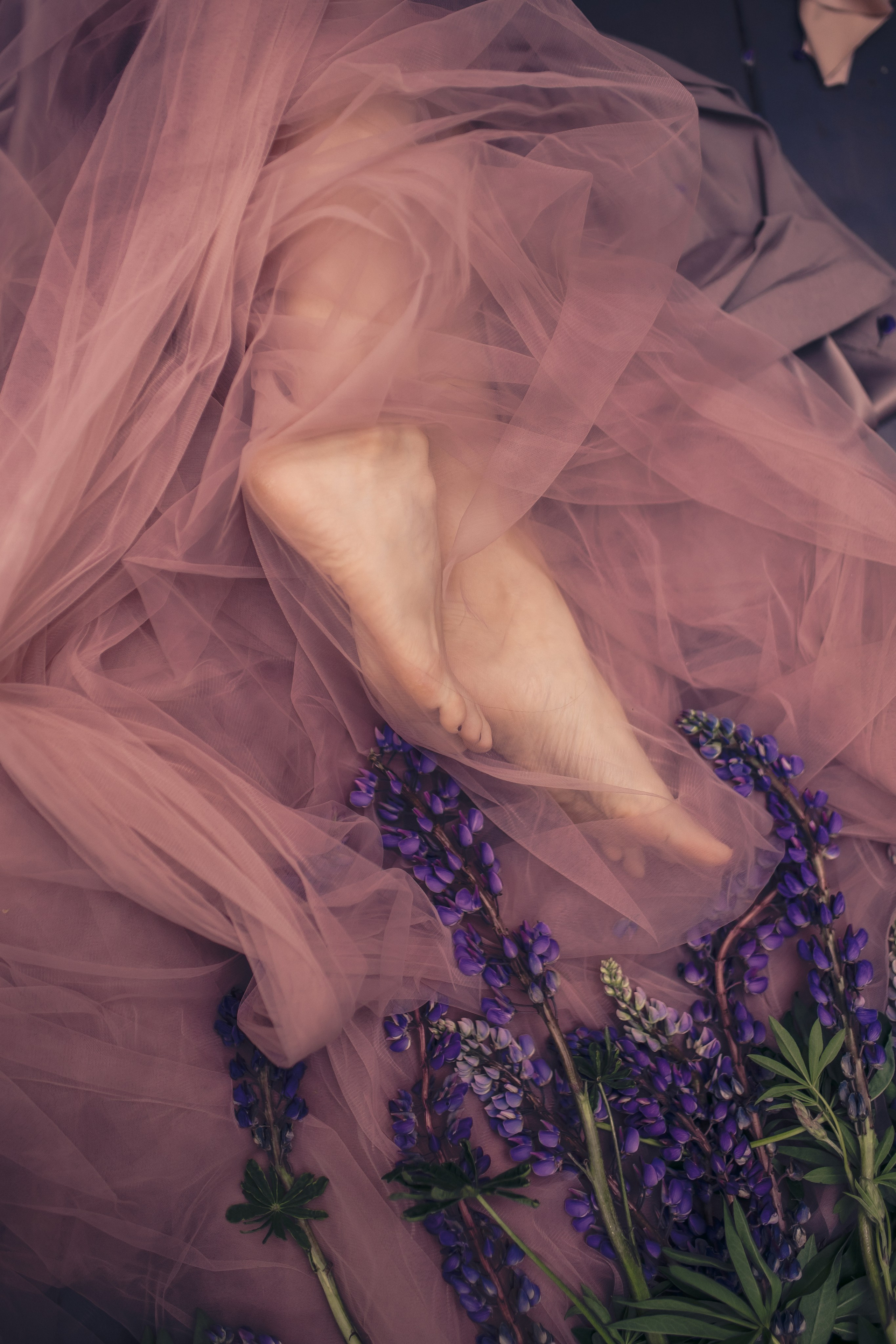 Татьяна в люпинах. Фотограф в Москве Наталья Спиридонова