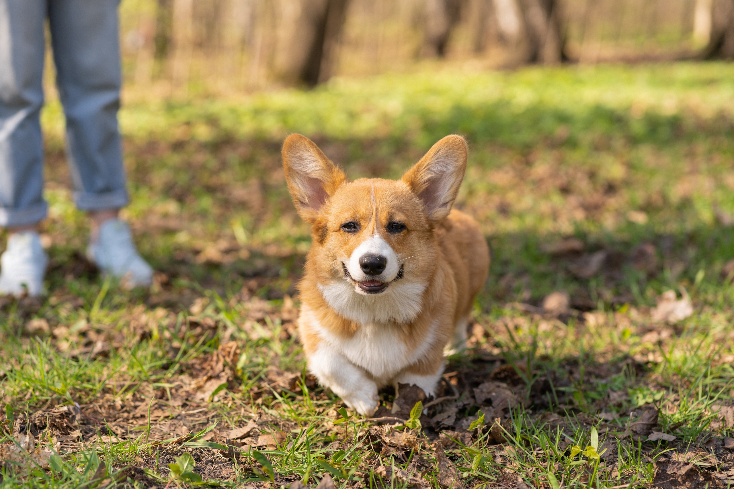 Саша, Настя, Луна. Свадебный фотограф в Москве Анна Полушина