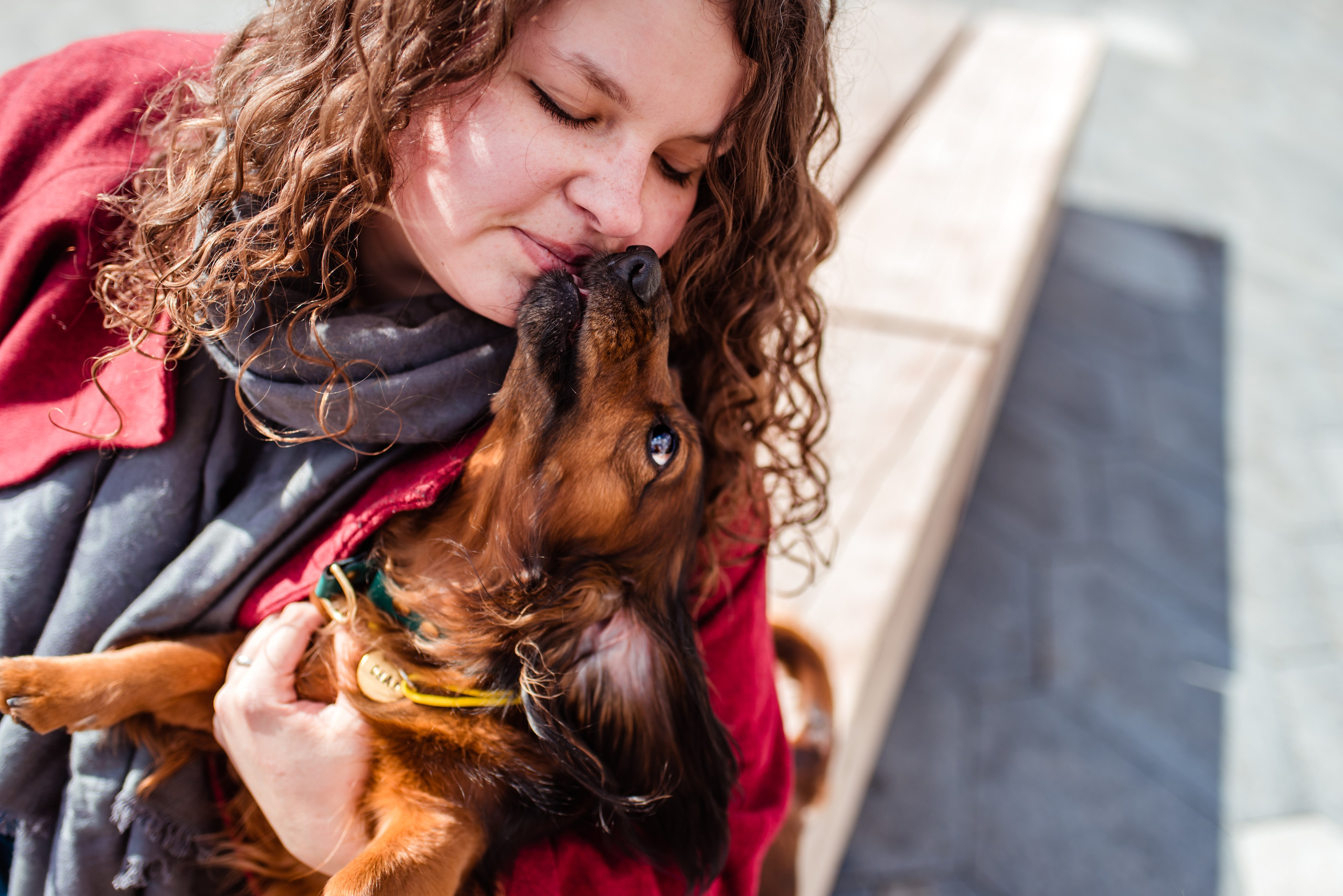 Таксы на Красной площади. Семейный Фотограф в Москве Ирина Хохлова