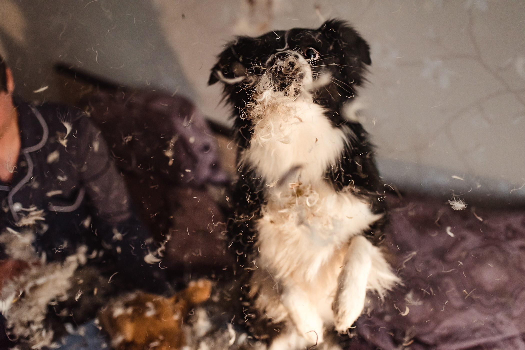 Пижамная вечеринка Тани и Димы. Семейный Фотограф в Москве Ирина Хохлова