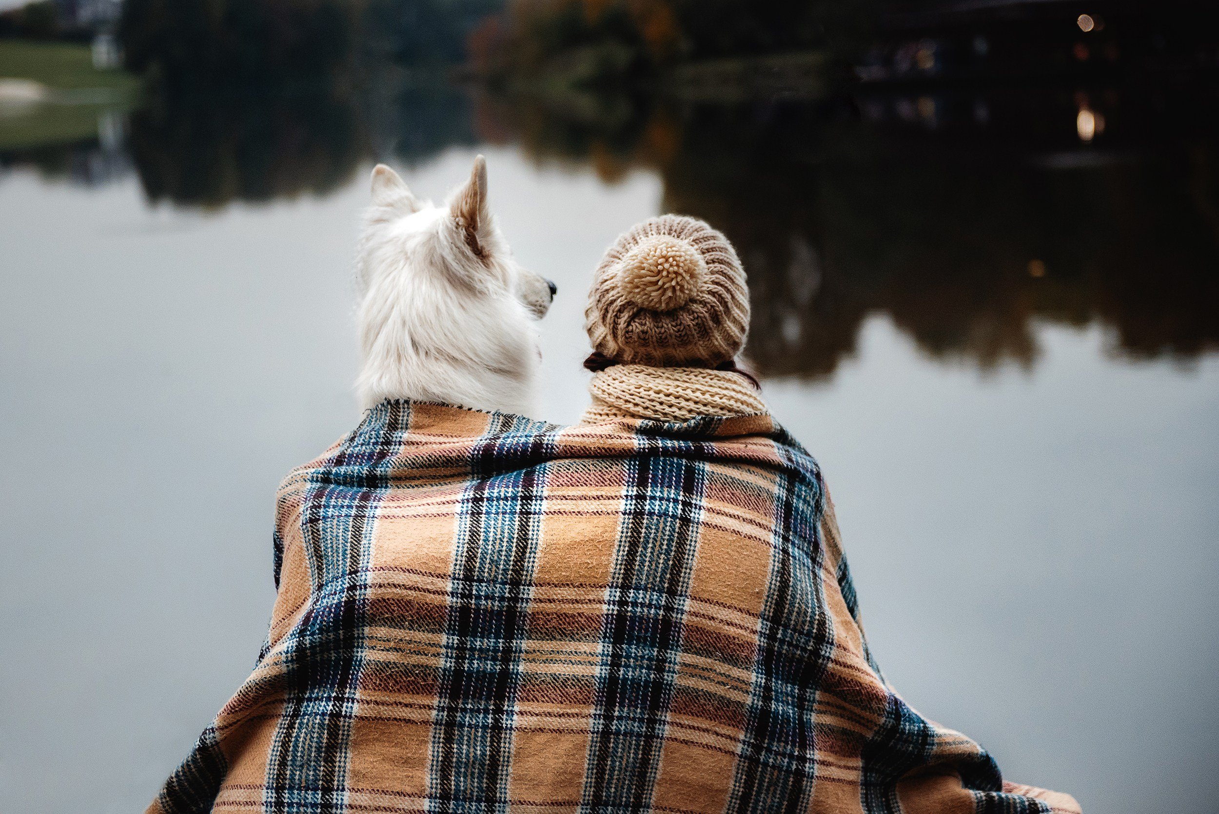 Катя и Джек. Семейный Фотограф в Москве Ирина Хохлова