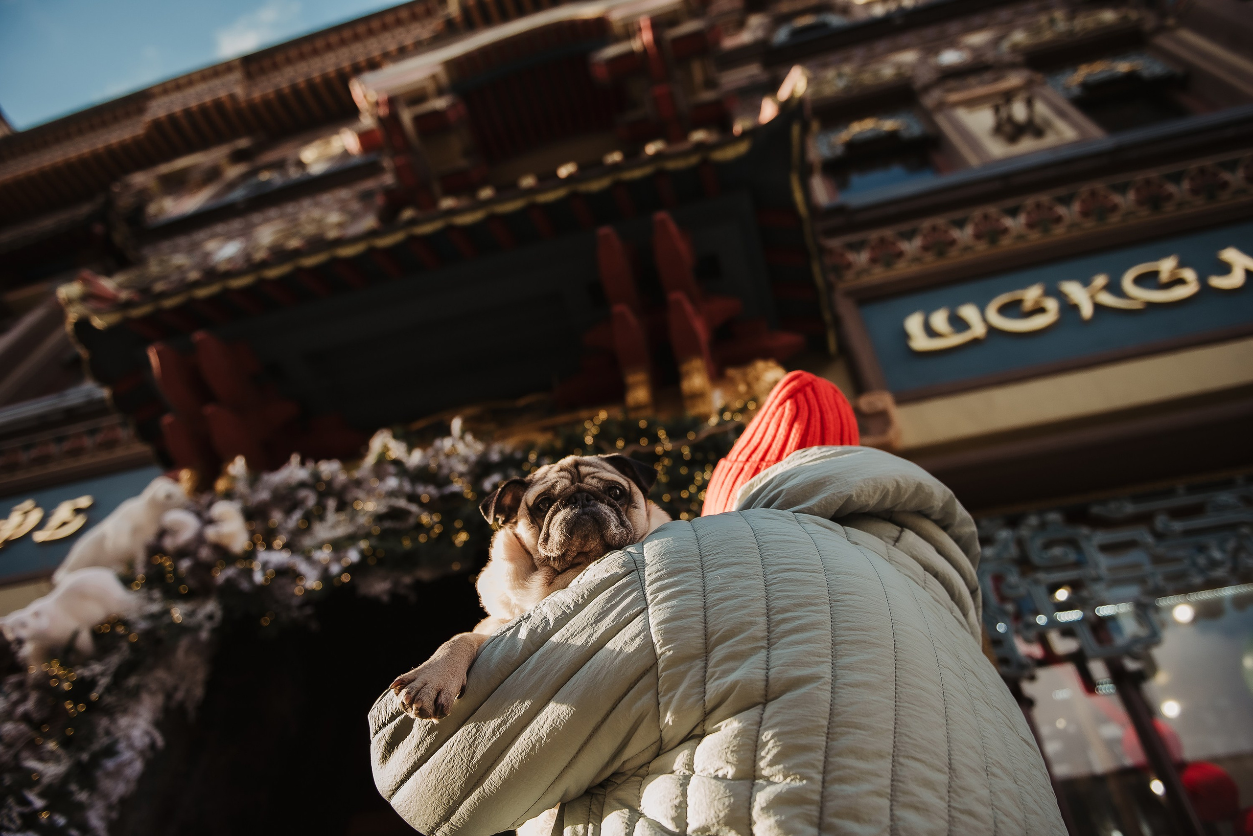 Ольга и Потапум. Прогулка к чайному дому. Семейный Фотограф в Москве Ирина Хохлова