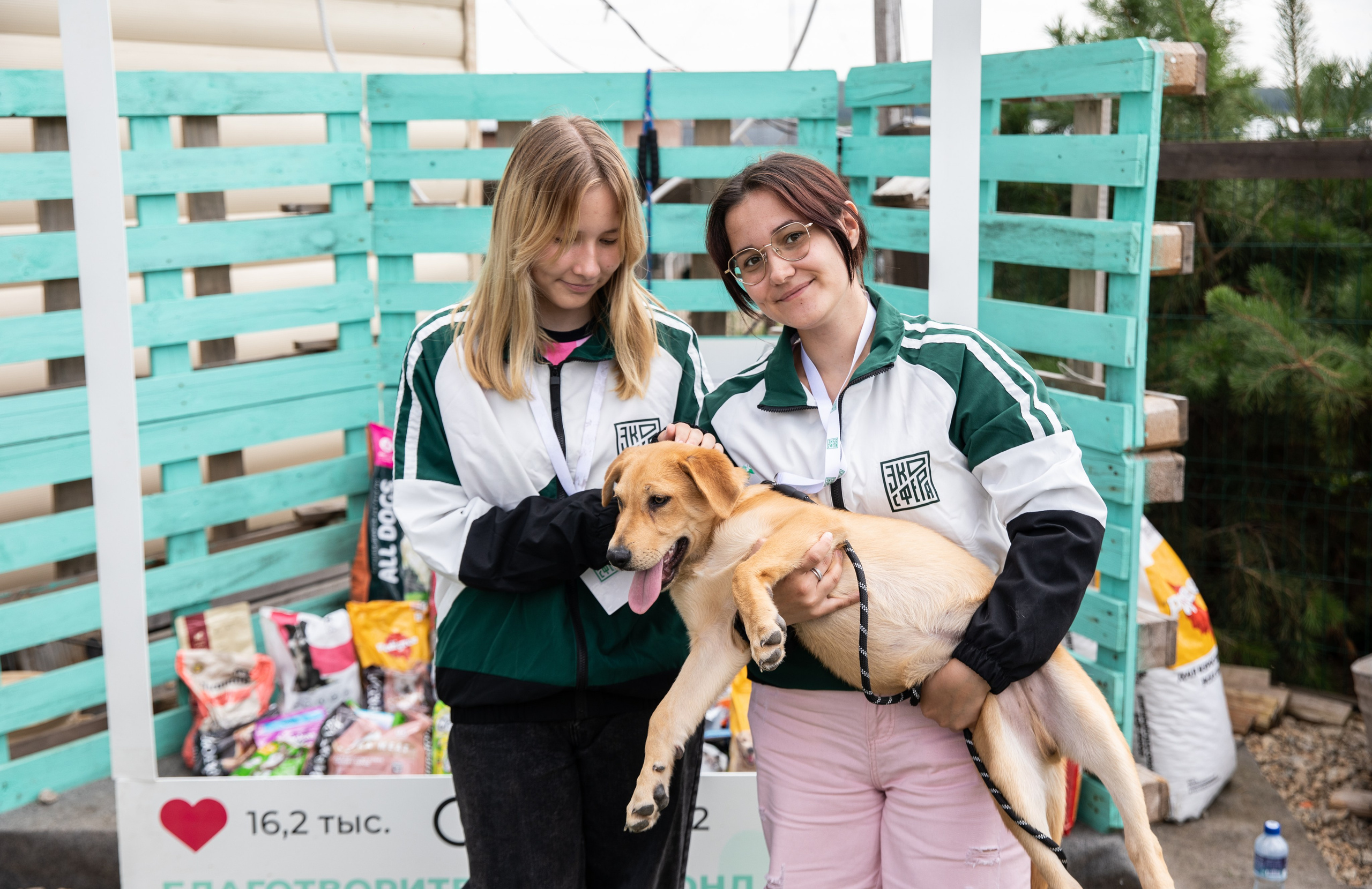 Приют — Наш дом. Репортажный и свадебный фотограф в Челябинске Елисеев Павел