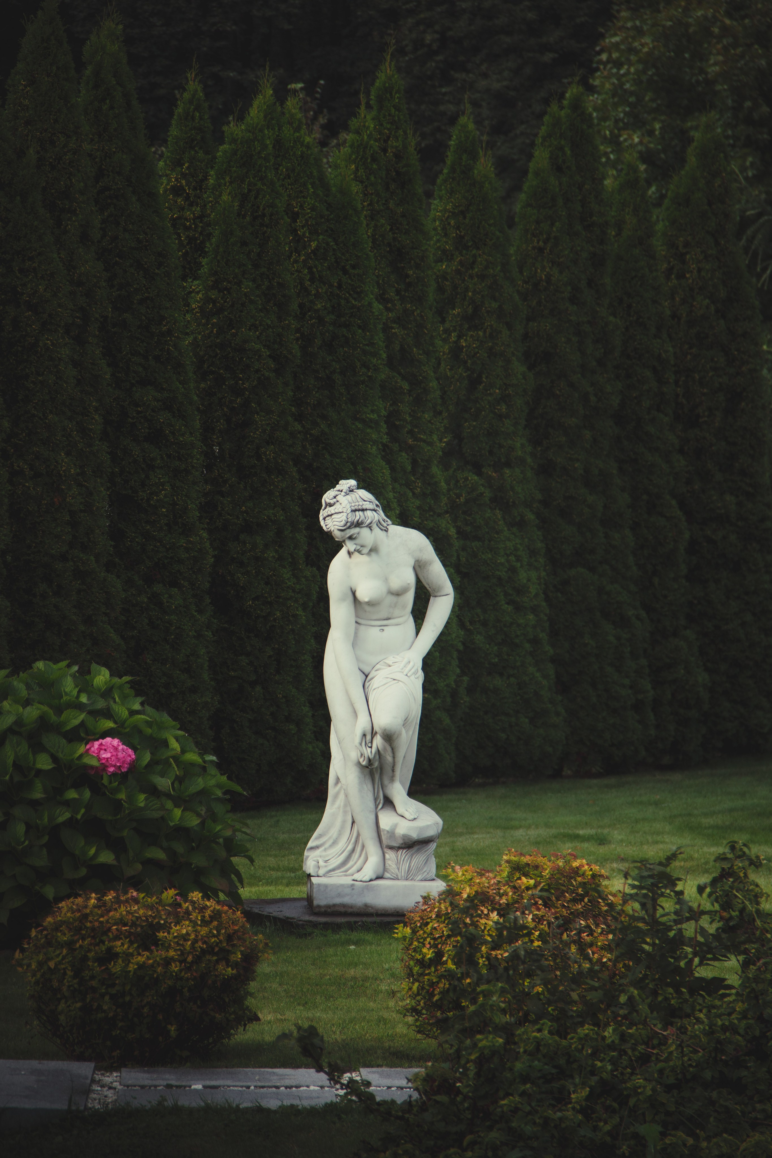 Nature. Фотограф/Видеограф