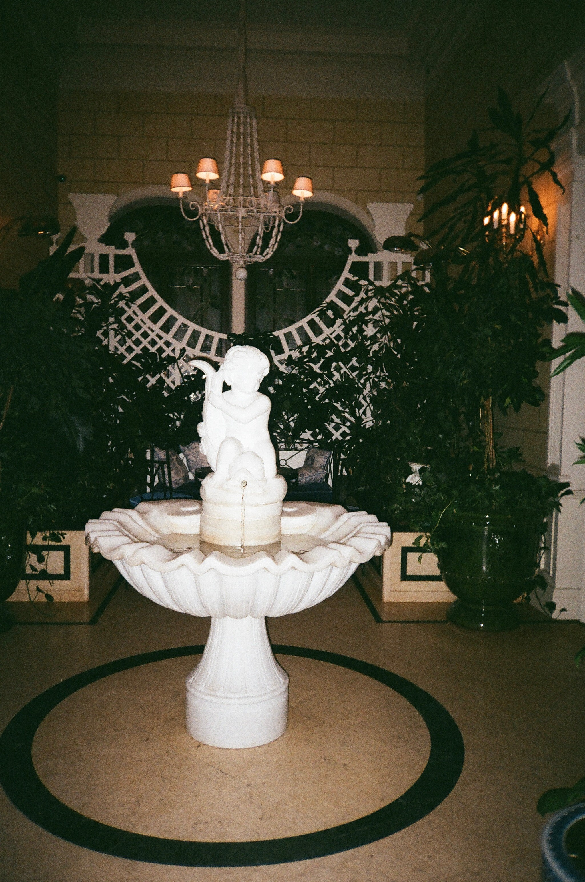 УСЛОВИЯ СВАДЕБНЫХ СЬЕМОК. Профессиональный фотограф, Санкт-Петербург — Виктория Богомолова