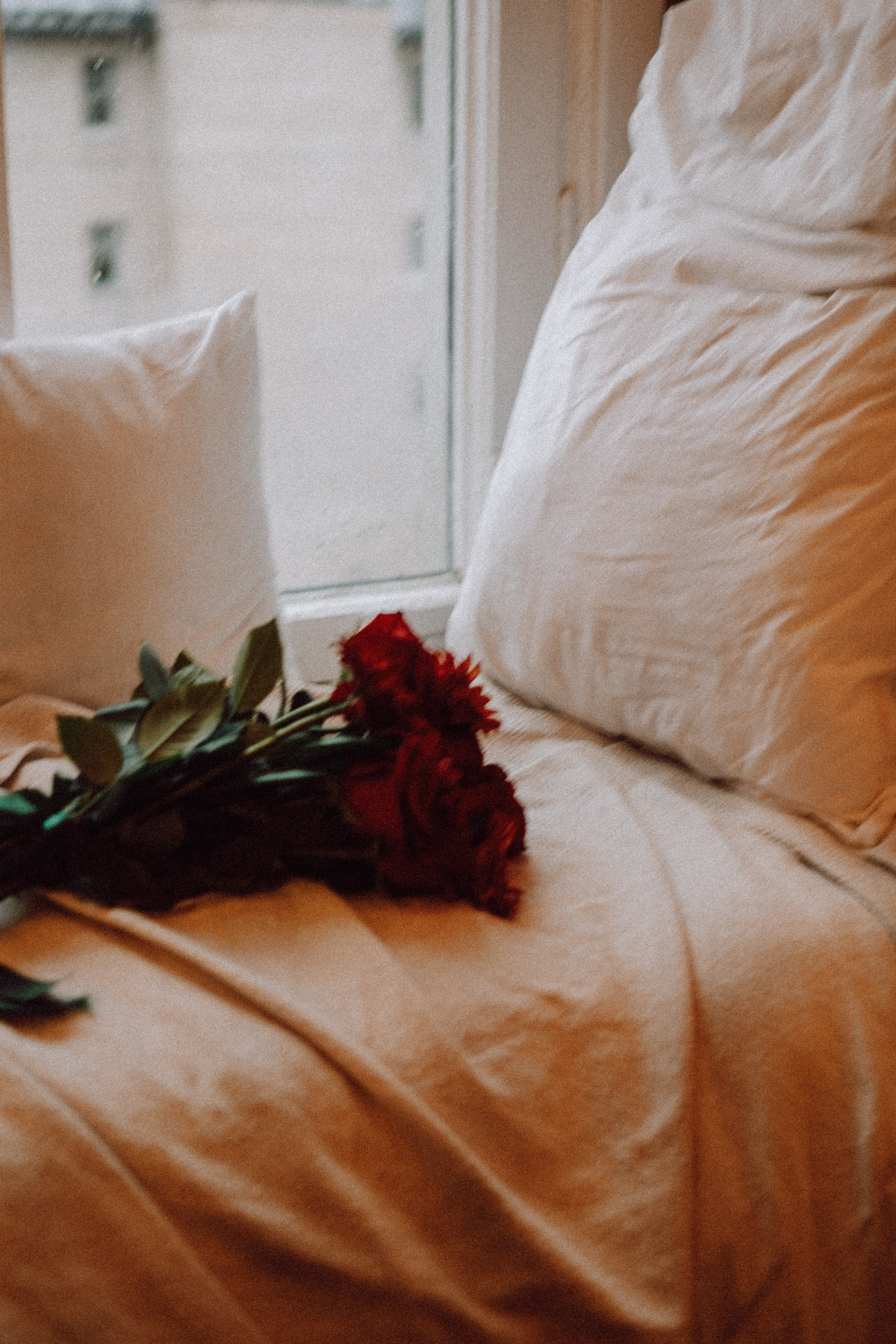 Новогодний стиль вдвоем. Профессиональный фотограф, Санкт-Петербург — Виктория Богомолова