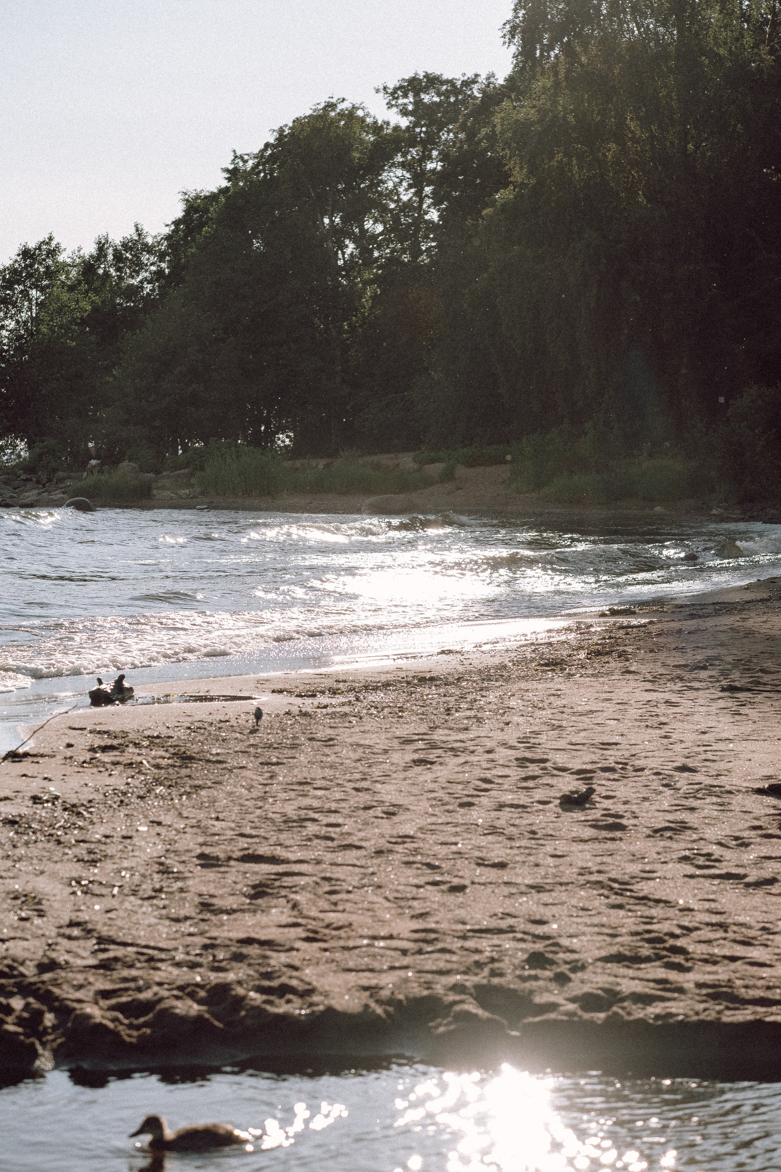 ПРОГУЛКА НА БЕРЕГУ ФИНСКОГО ЗАЛИВА. Профессиональный фотограф, Санкт-Петербург — Виктория Богомолова