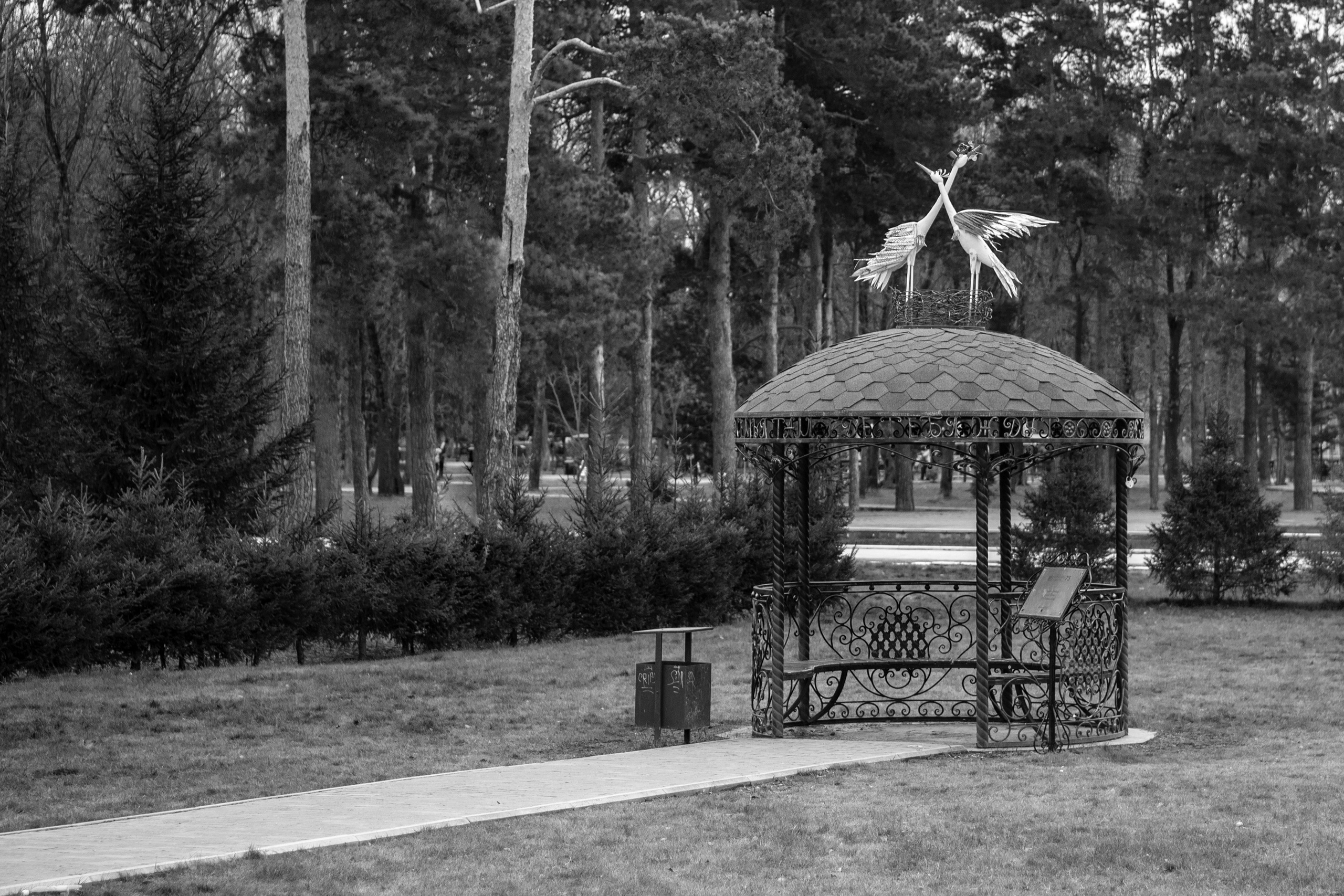 Стрит фотография. Видеосъемка, фотосъемка Искитим — Новосибирск, Сергей Тясто