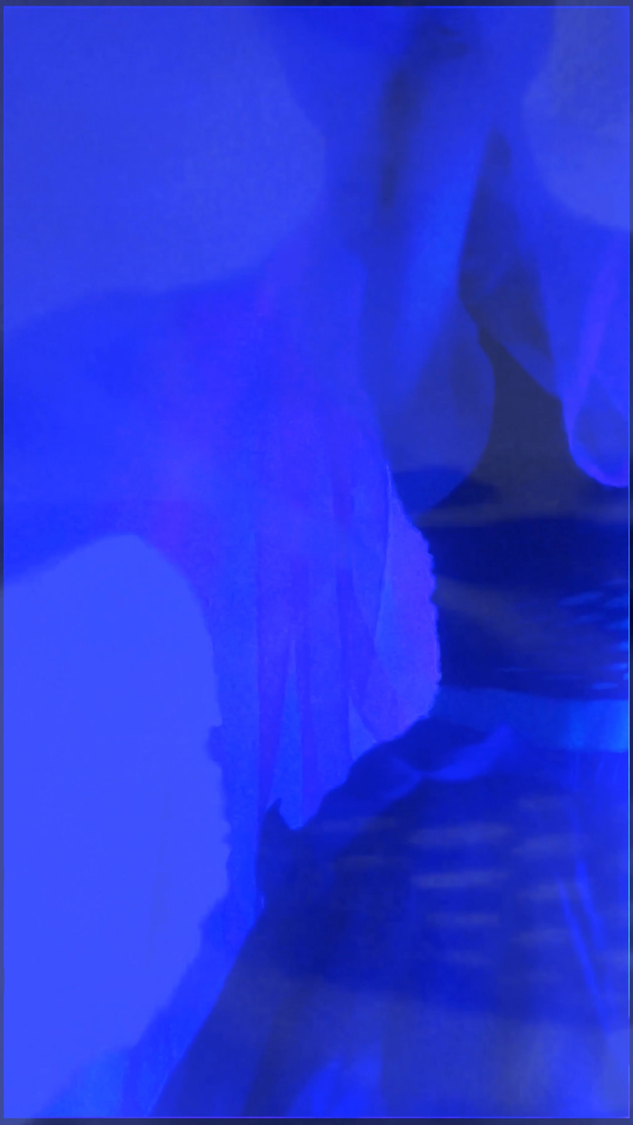 THE SAPPHIRE VEIL. Exclusive Closing Gifts for Top Realtors | Custom House Portraits by Yulia Yurchevskaya