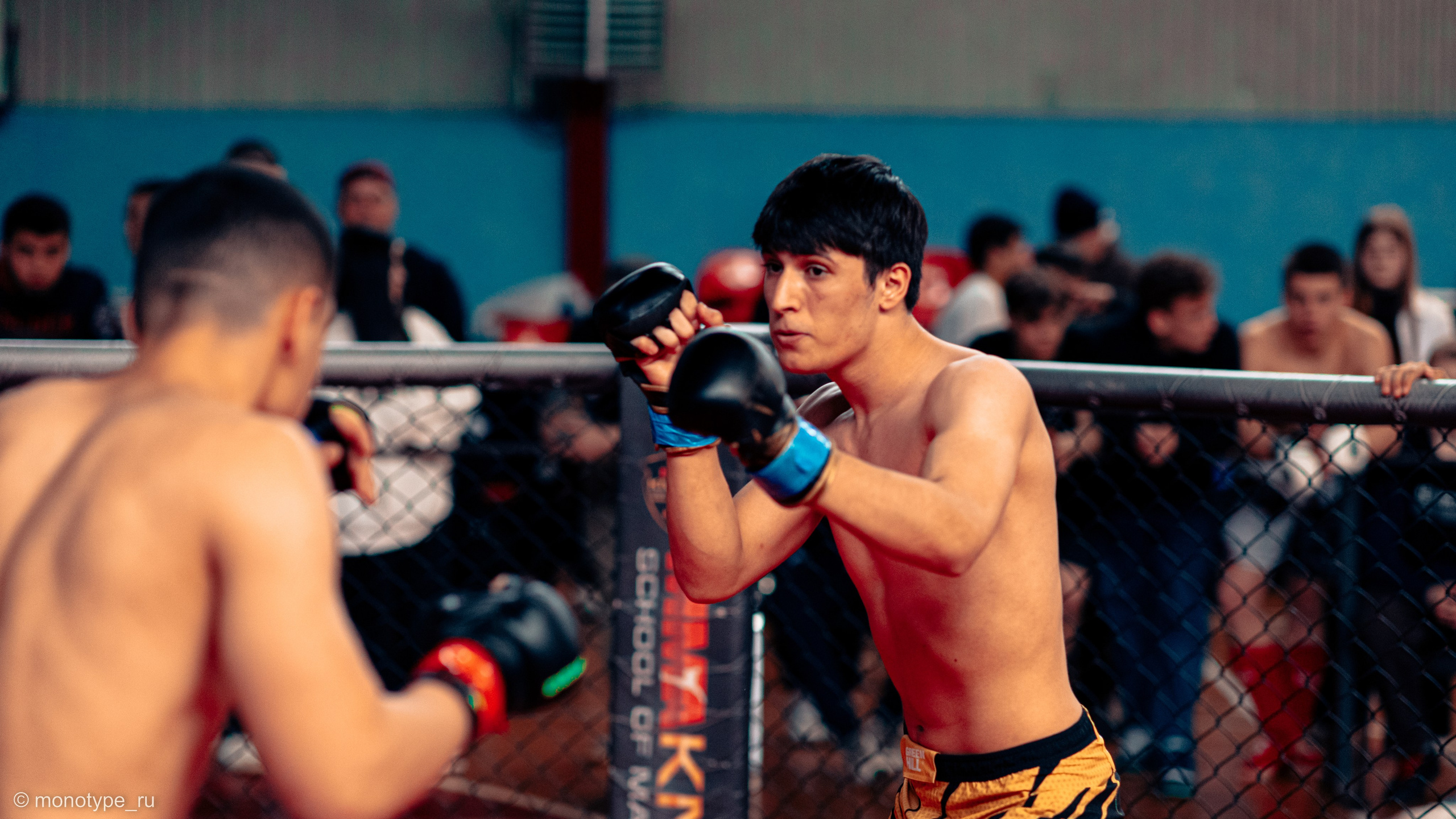 MMA. Бойцовский турнир