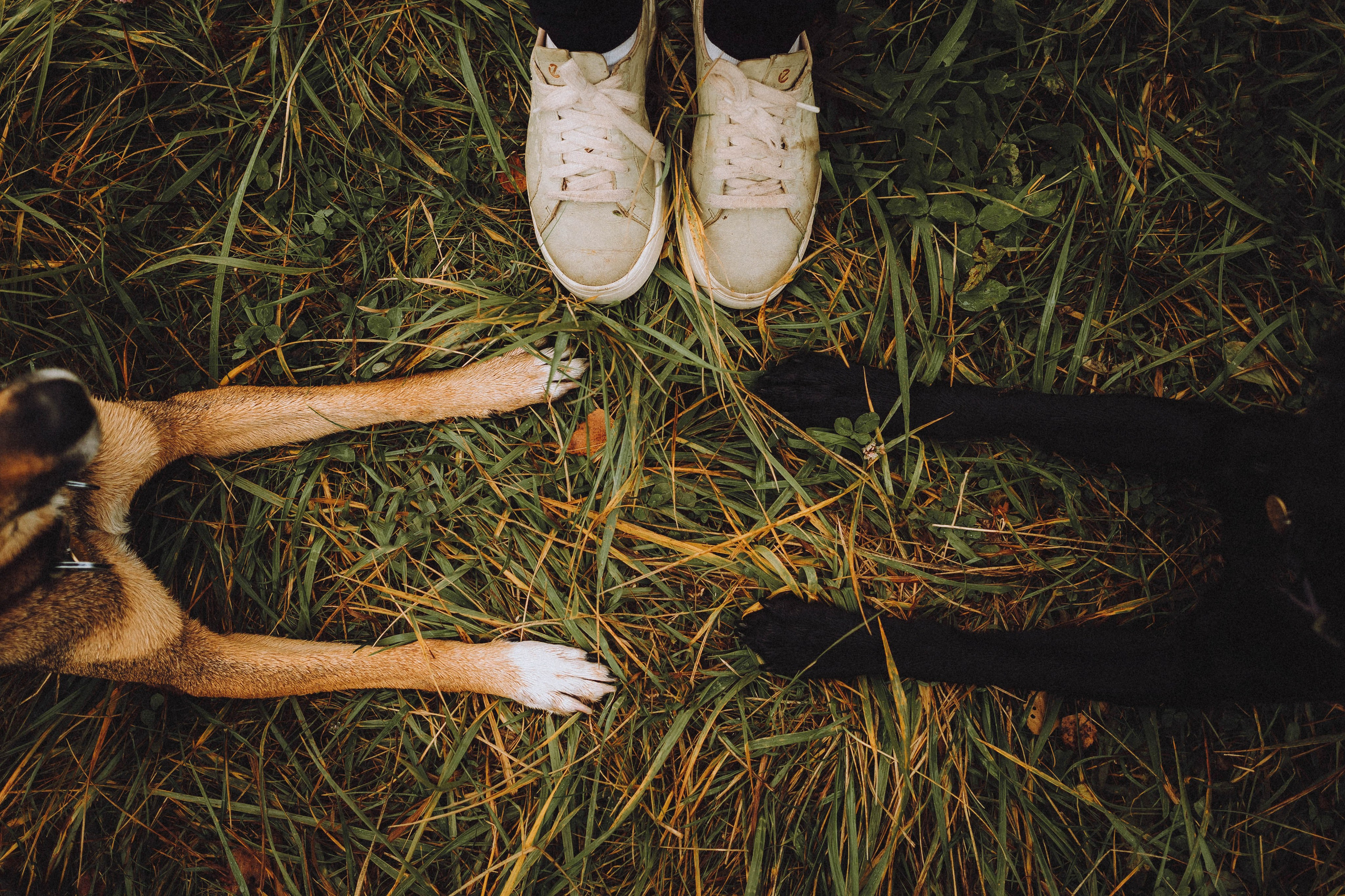 Аня, Нео и Луна