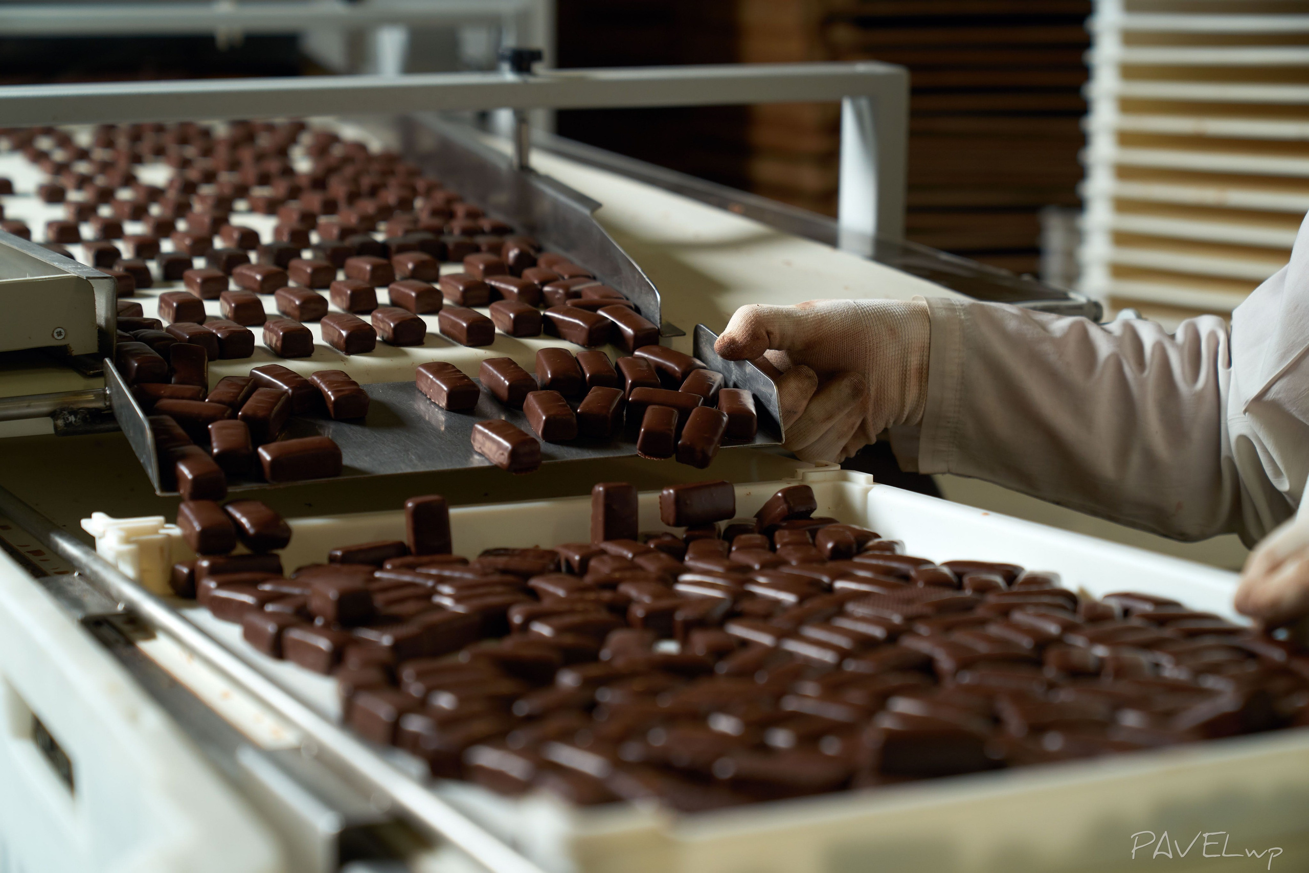 Production. Pavel Stepanov photo, video, drone filming