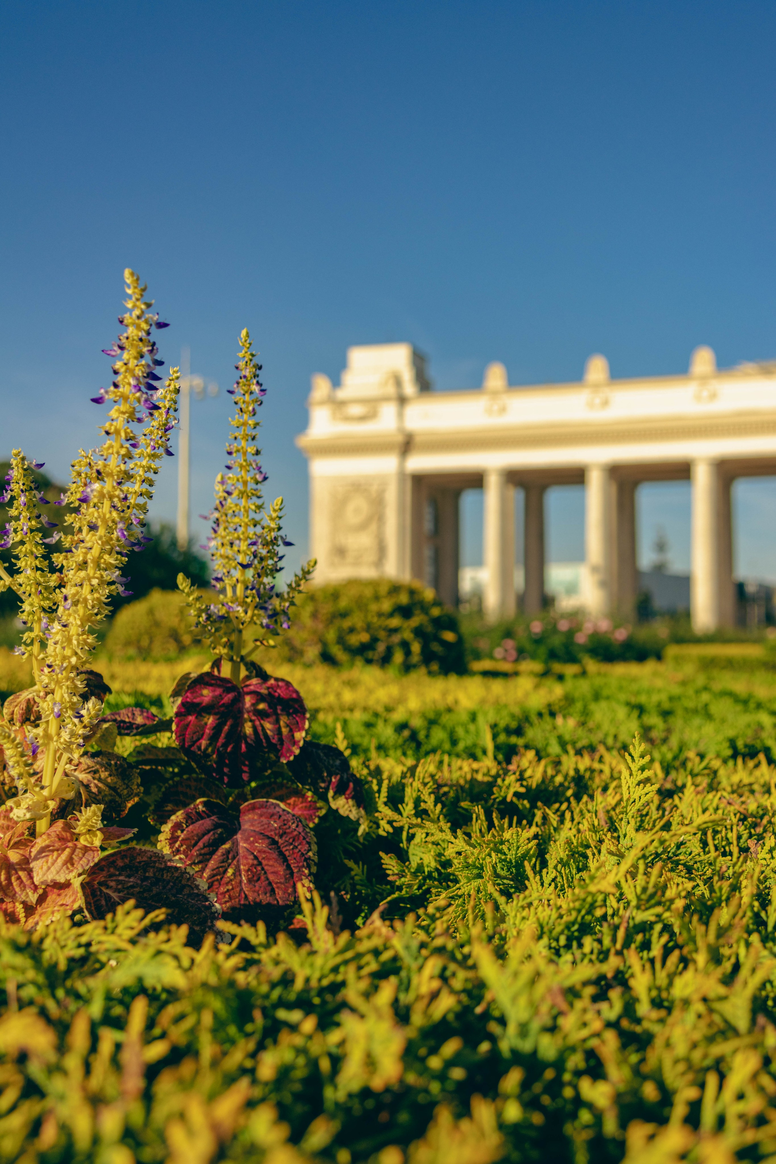 Парк Горького. Jean De Vivre Gallery