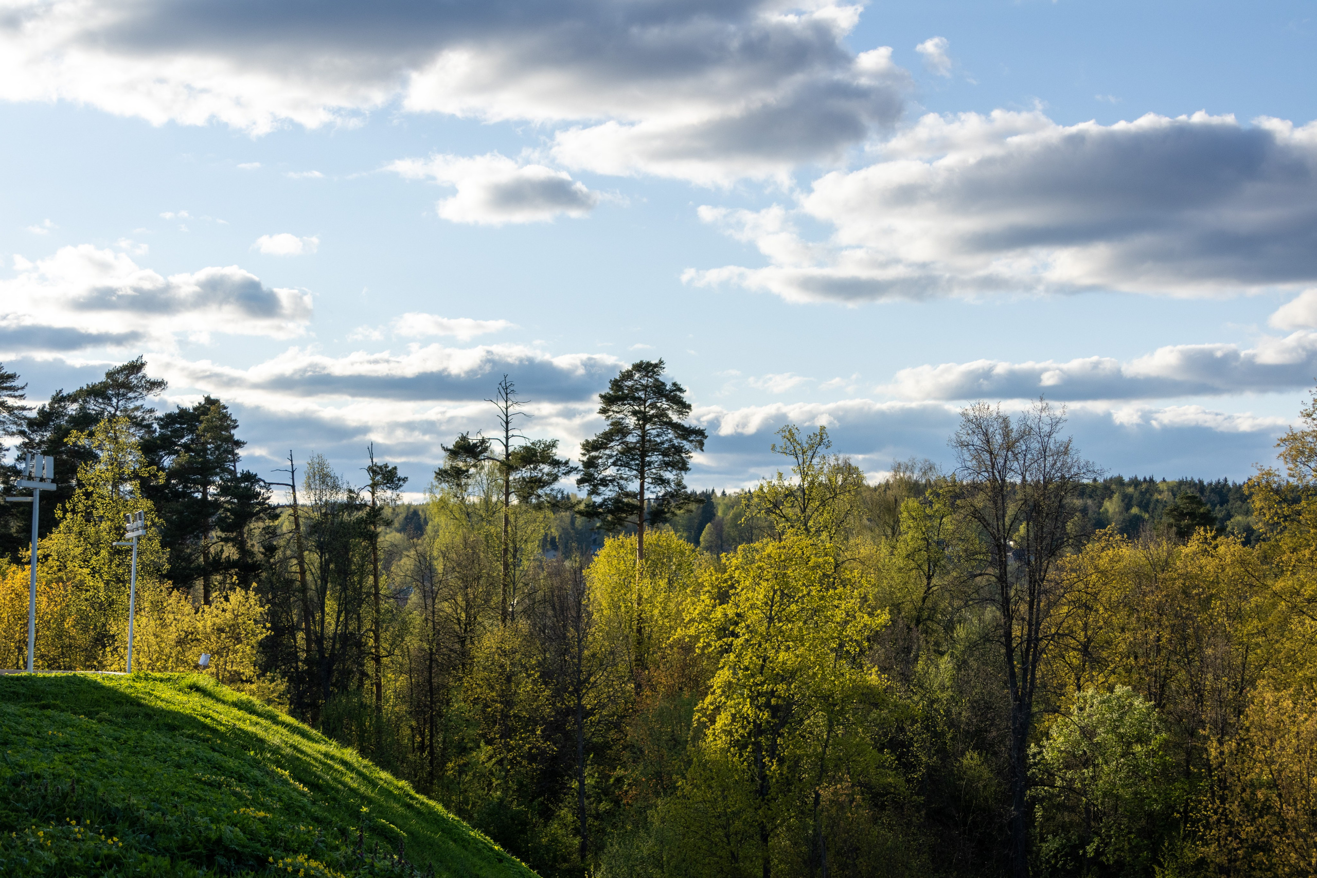 Новый Иерусалим. Jean De Vivre Gallery