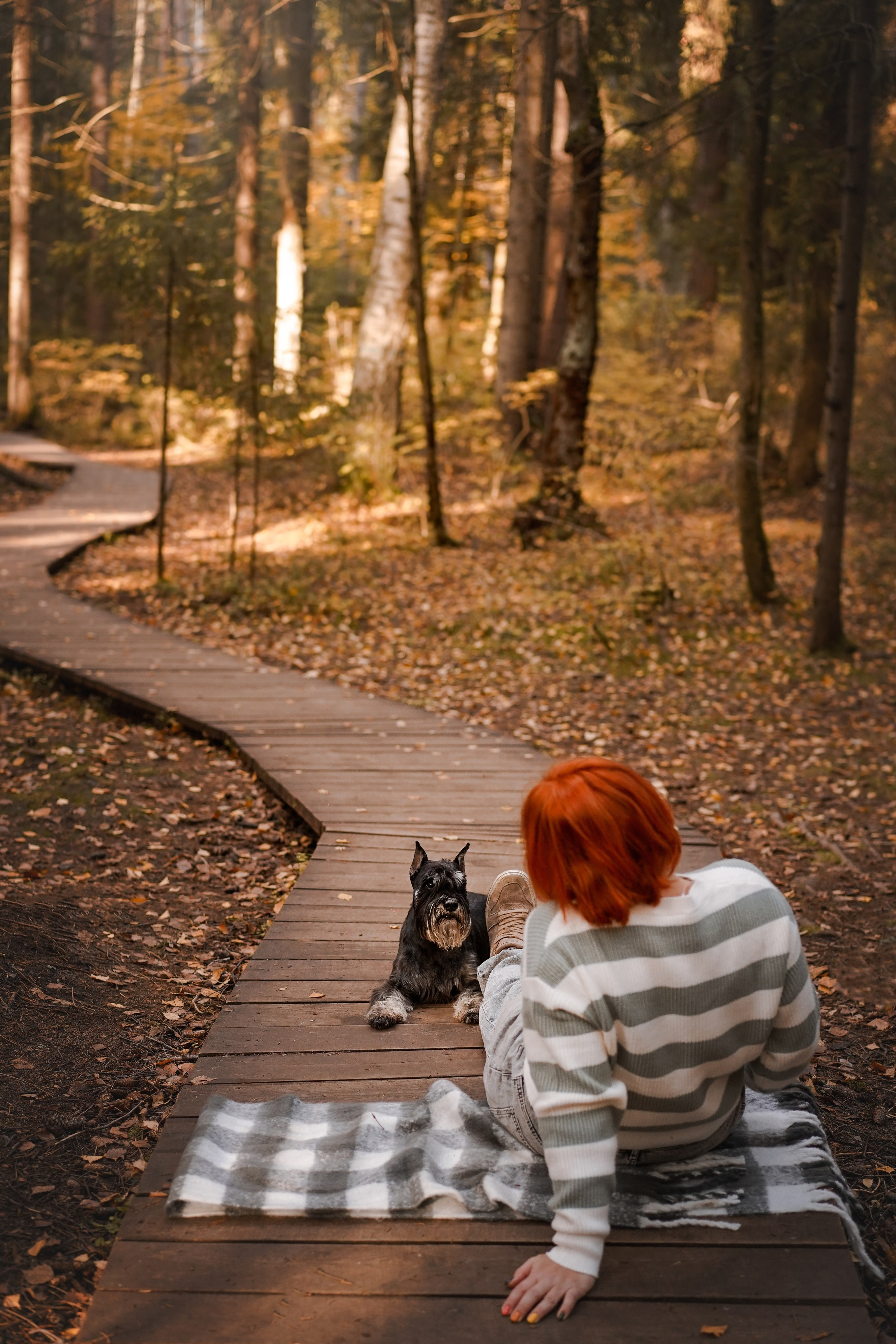 Оля Миша и шнауцеры. Фотограф-анималист в Санкт-Петербурге Яна Мартынова