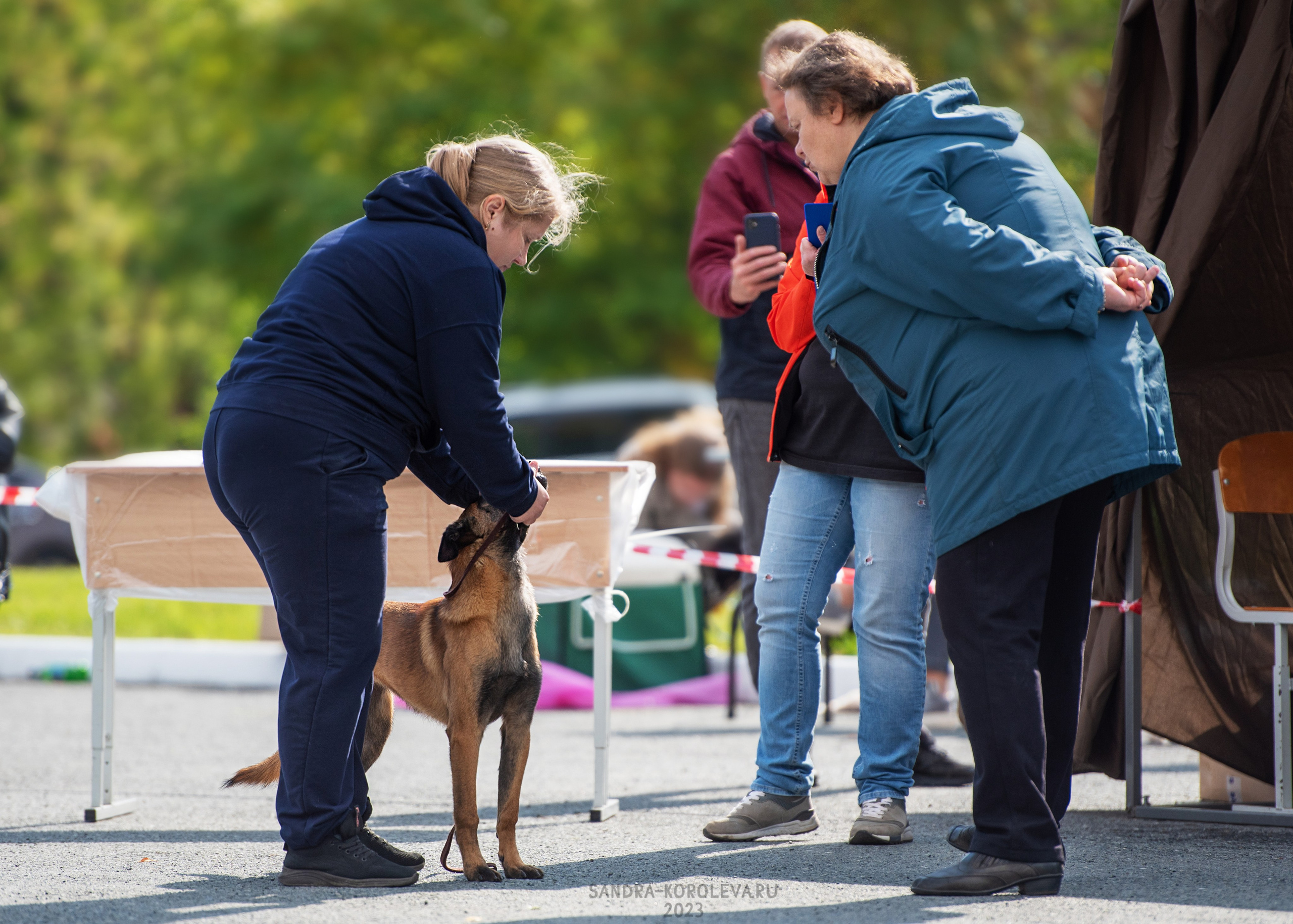 Выставка собак Тюмень 02.09.2023. Дог-фотограф в Тюмени Александра Королева