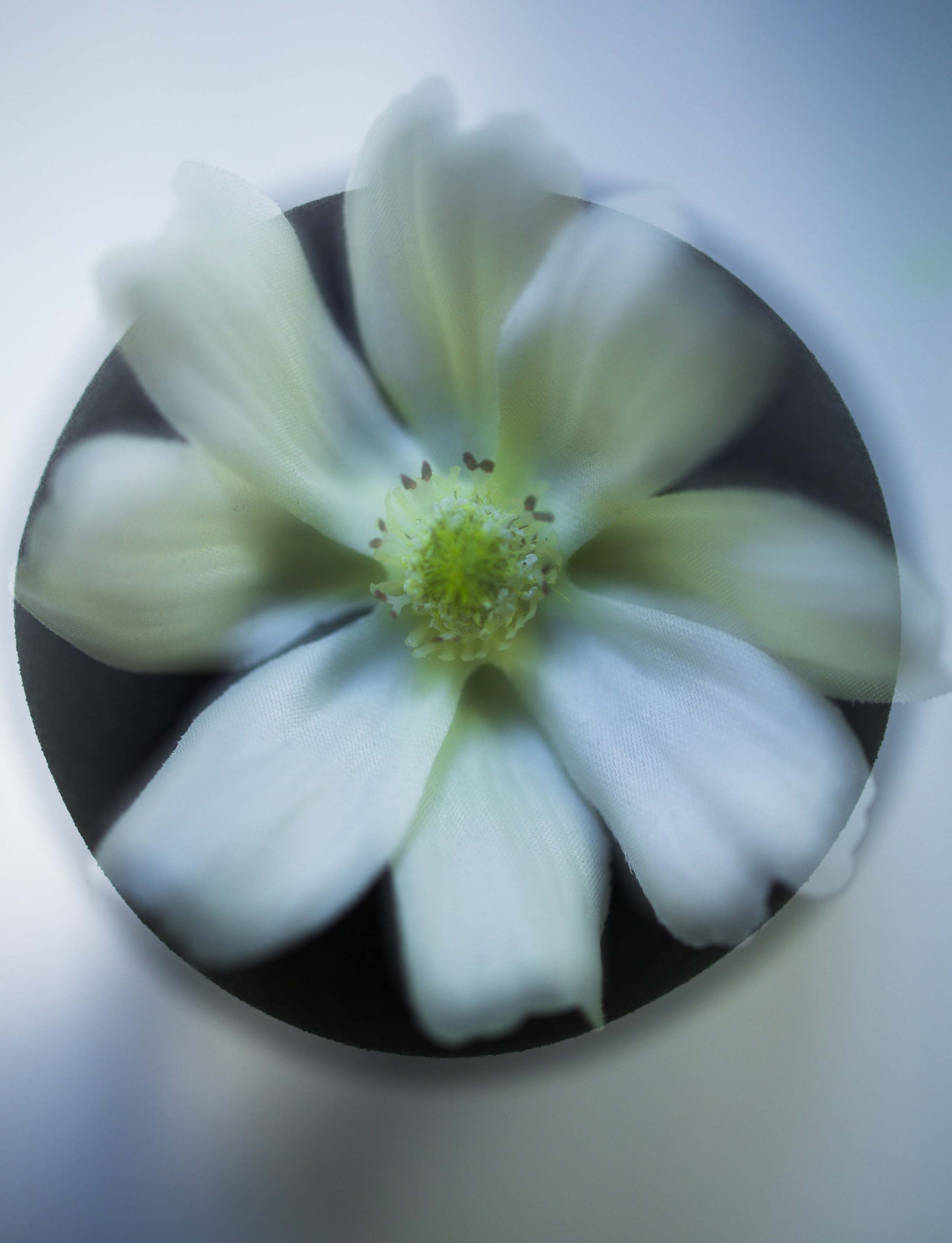 Природа &. Фотохудожник в СПб