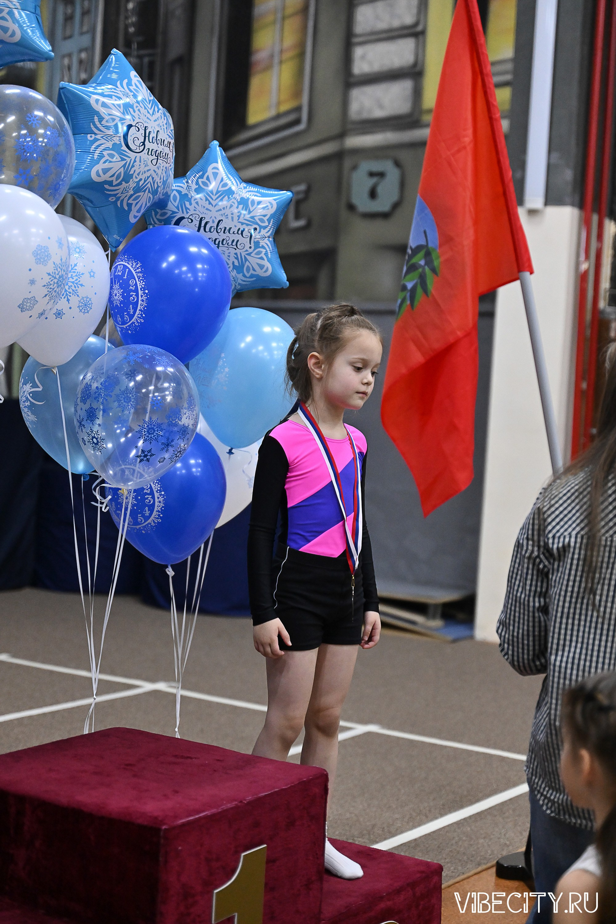 Контрольная тренировка по спортивной гимнастике. VIBECITY.RU Вайб Сити Ру Фоторепортажи Фотоотчеты Калининград