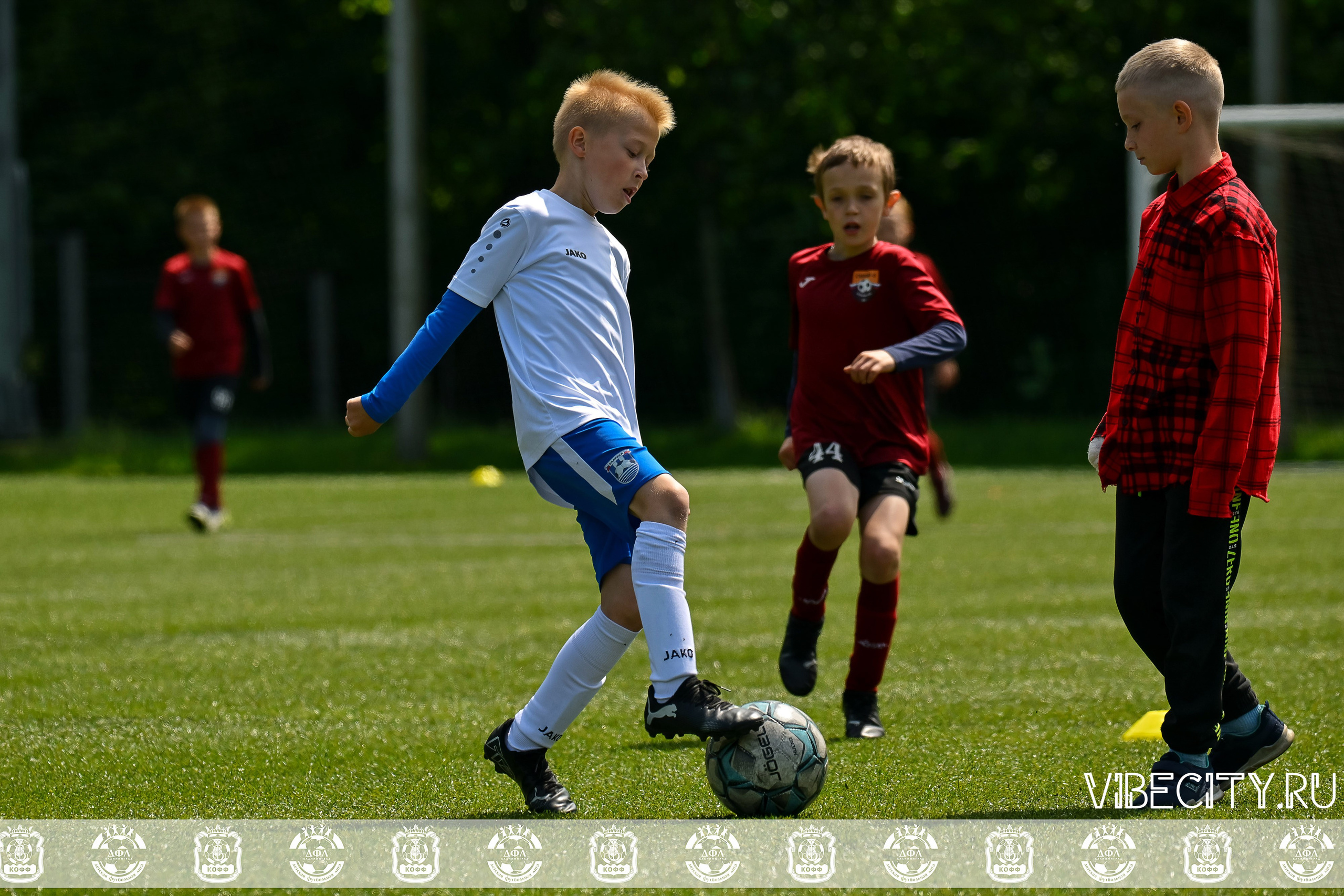 Большие Звезды светят Малым. VIBECITY.RU Вайб Сити Ру Фоторепортажи Фотоотчеты Калининград