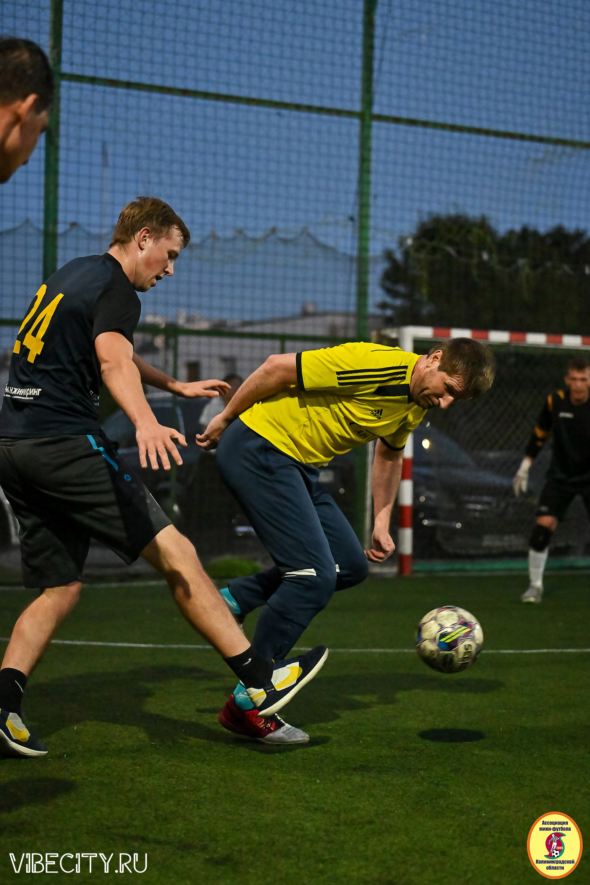 ФИНАЛЬНЫЕ ИГРЫ КУБКА МИНИ-ФУТБОЛЬНОЙ ЛИГИ И КУБКА КОРПОРАТИВНОЙ МФЛ 2025. VIBECITY.RU Вайб Сити Ру Фоторепортажи Фотоотчеты Калининград